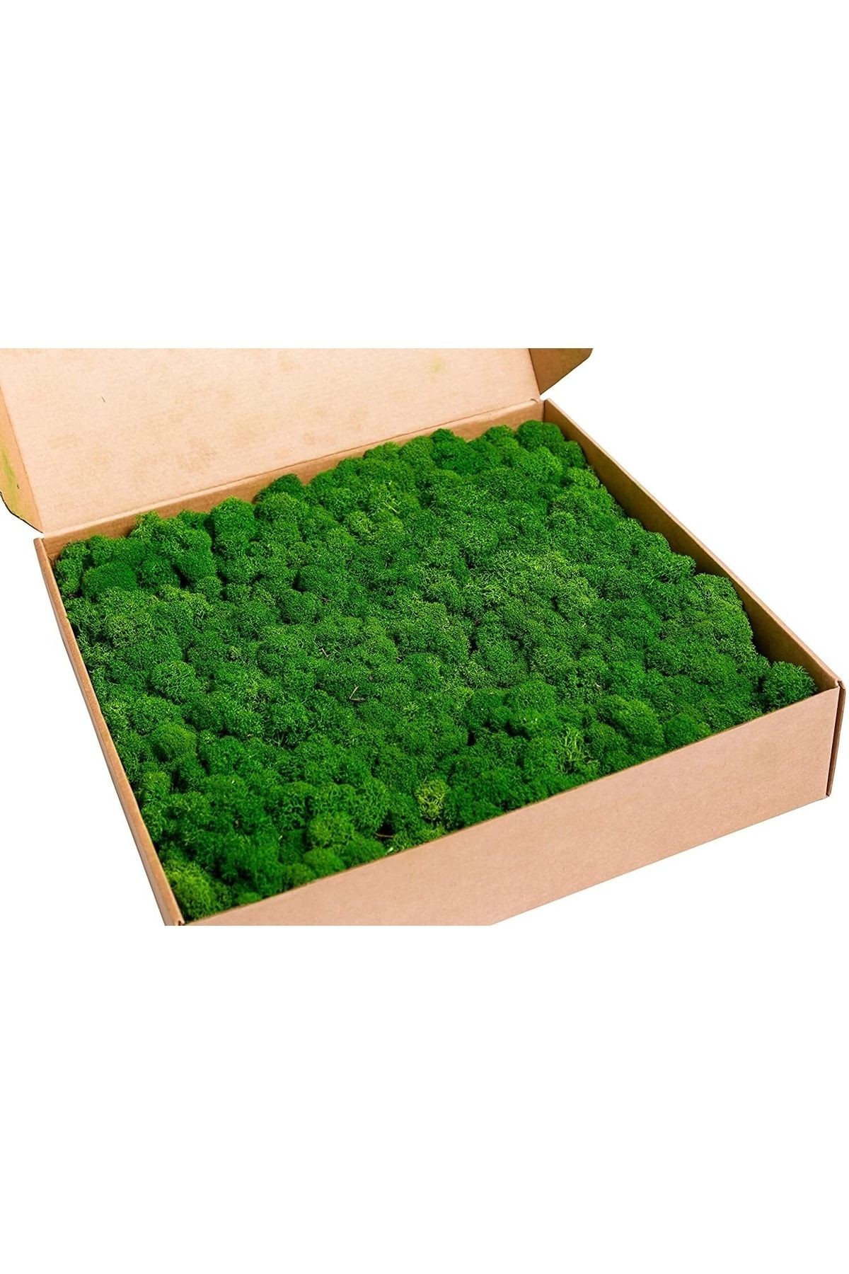 Reindeer Moss Forest Green Şoklanmış Ithal Norveç Yosunu 4 Kg