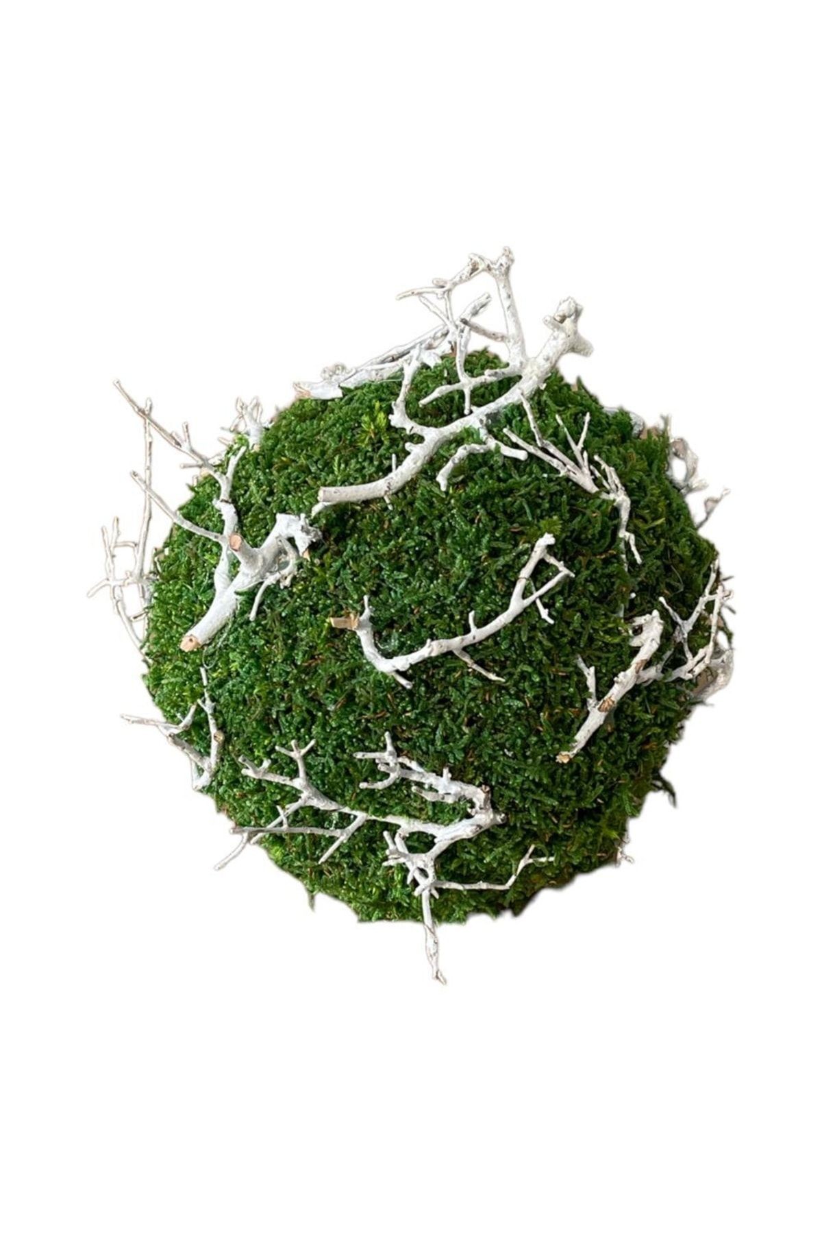 Christmas New Year Frosted Moss Ball with Oak Branches 25cm, Hand Made, Garden Table Decoration