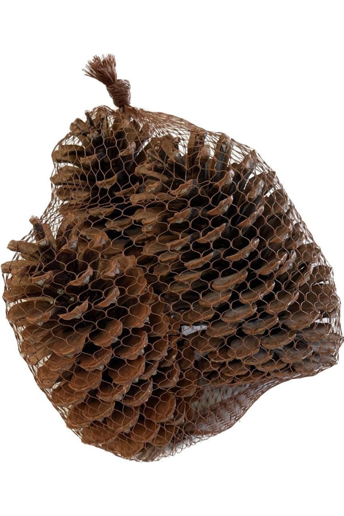 Maritima Pinecones in Net, 3 Pieces 10-14cm, New Year Christmas New Year Ornament, Home Office Decoration