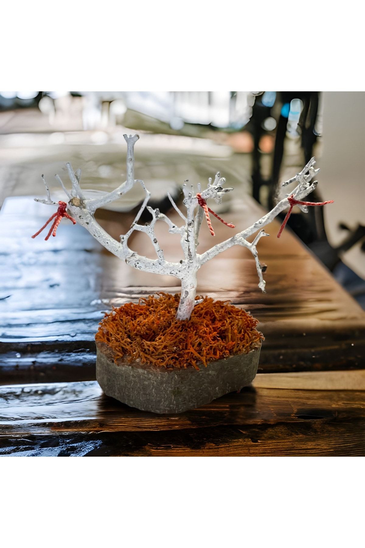 Miniature Natural Freezing Gift Wish Tree Natural Norwegian Moss Oak Tree