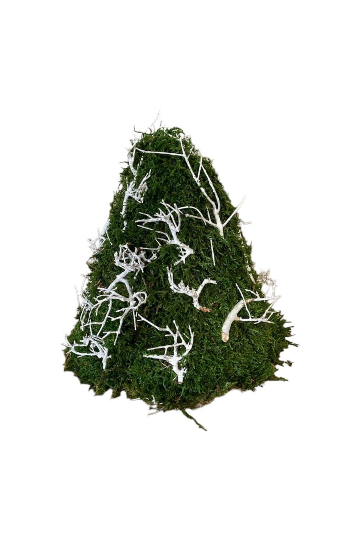 Christmas Tree Natural Natural Moss 40cm - Shocked Preserved Moss - Decorative Item