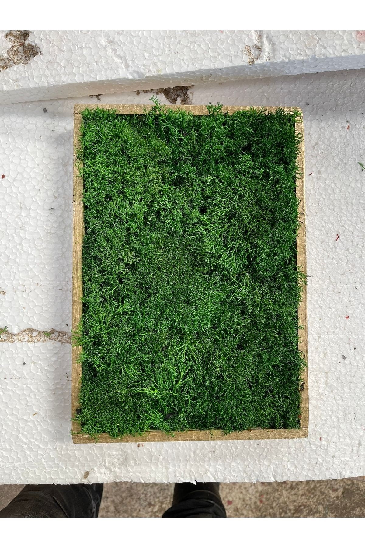 Natural Freezing Norway Moss Table Gift Wall Door Table Decoration 20x30cm