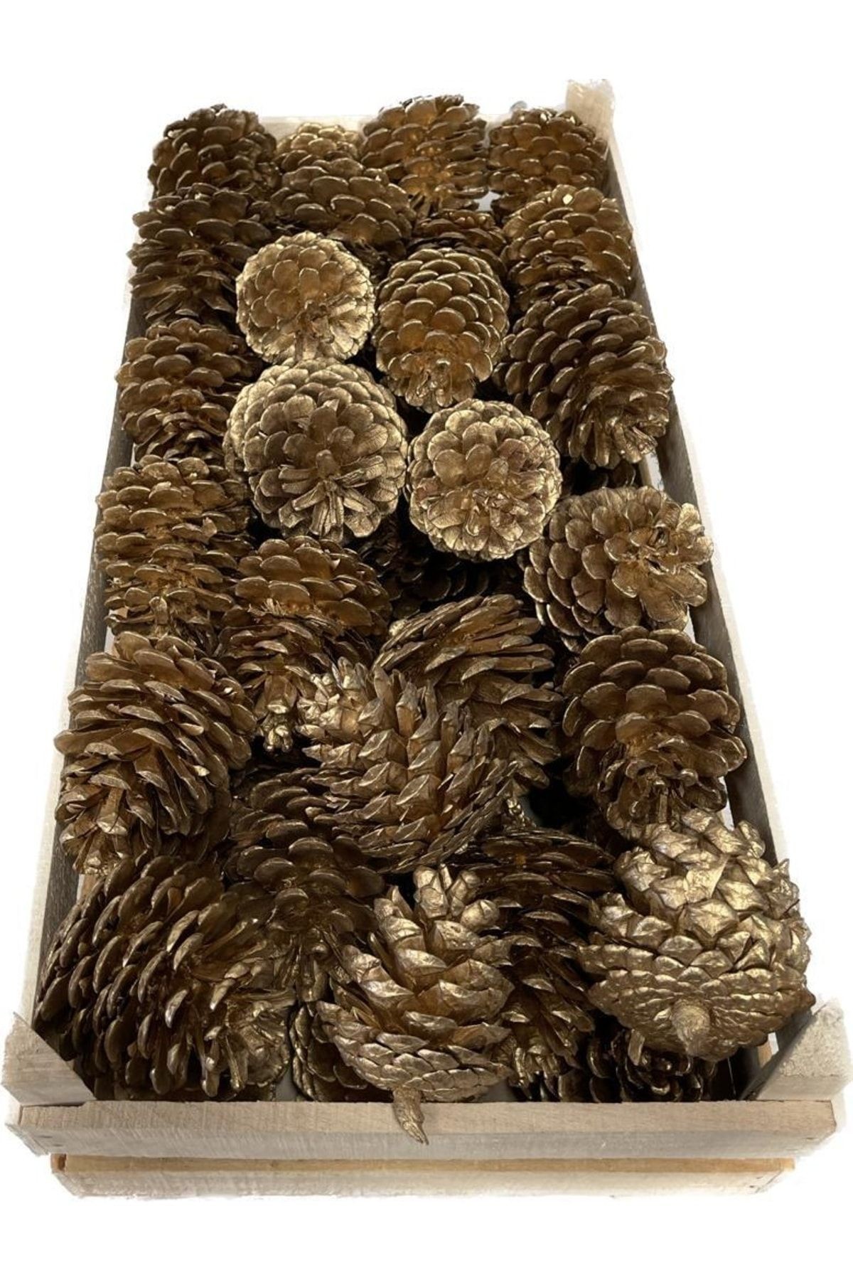 Natural Red Pine Pine Cone 8-10cm Gold Wooden Case 50 Pieces Gold