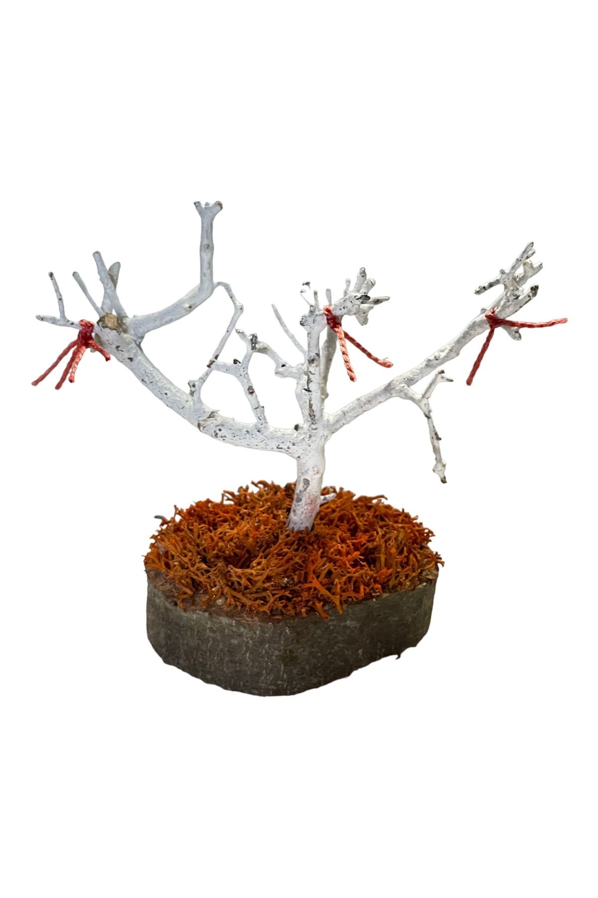 Miniature Natural Freezing Gift Wish Tree Natural Norwegian Moss Oak Tree