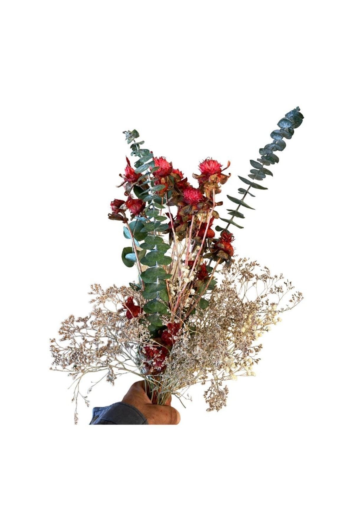 Bouquet Flower Eucalyptus Eucalyptus Chatramus Arrangement, Decorative Item Preserved Preserved Freezing