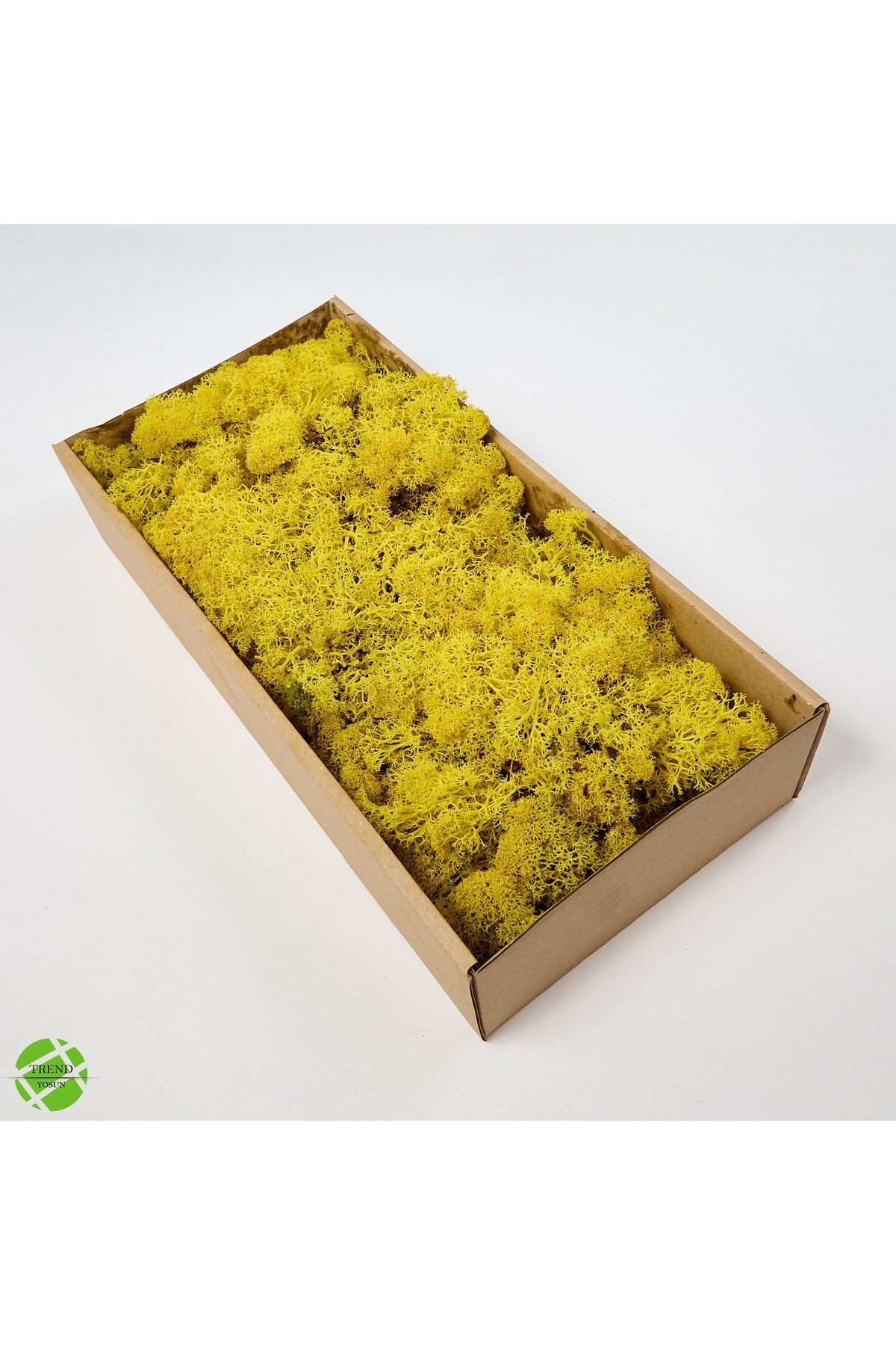 Reindeer Moss Kırmızı-sarı 2'li Set Şoklanmış Ithal Norveç Yosunu