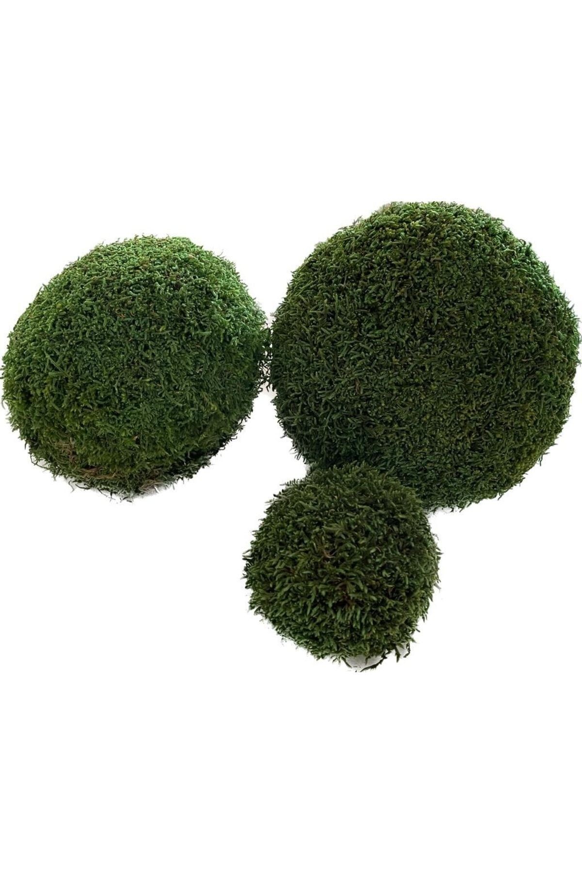 New Year's Decorations Moss Top Natural 55cm, Freezing Moss, ,handmade, Hobby Material