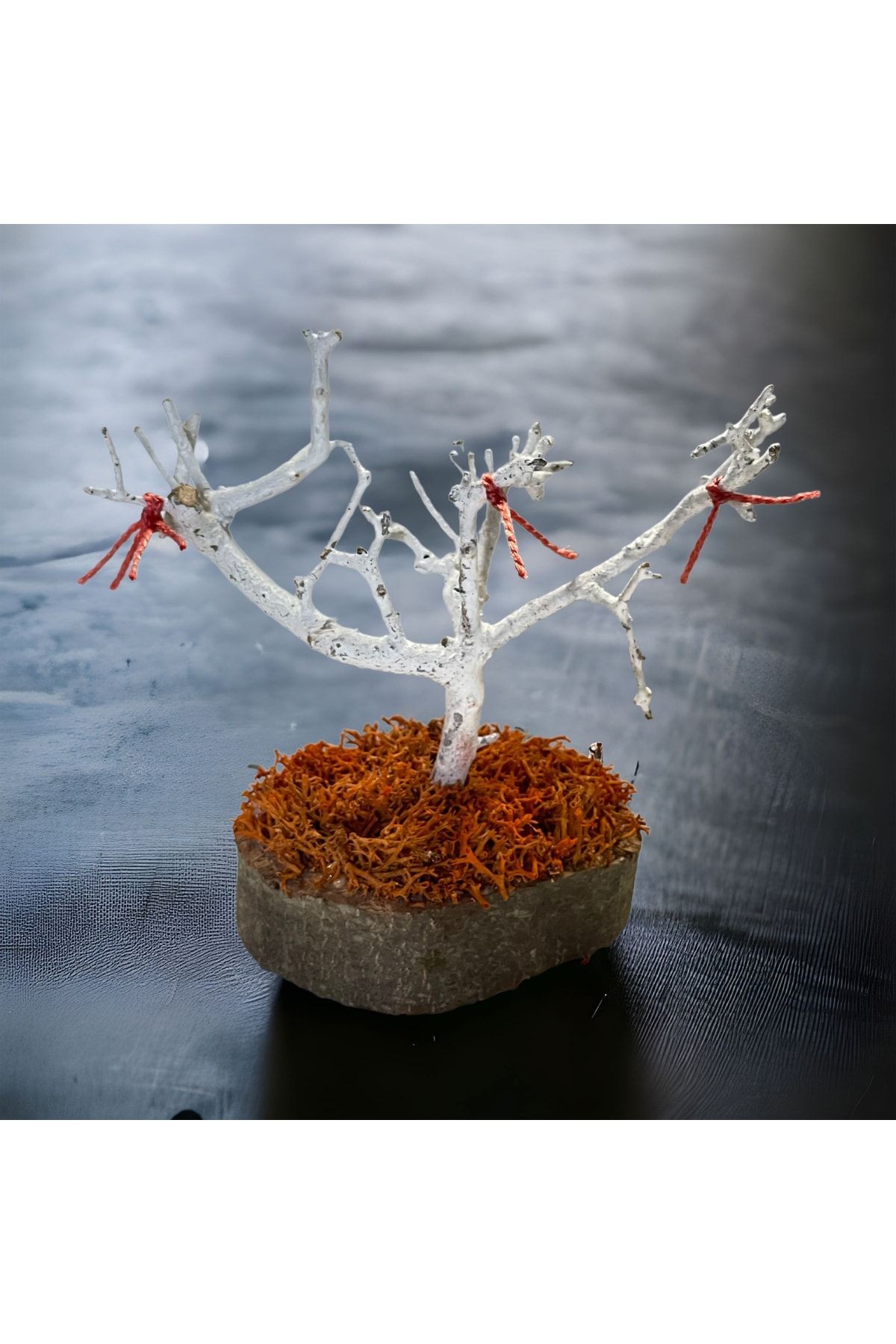 Miniature Natural Freezing Gift Wish Tree Natural Norwegian Moss Oak Tree