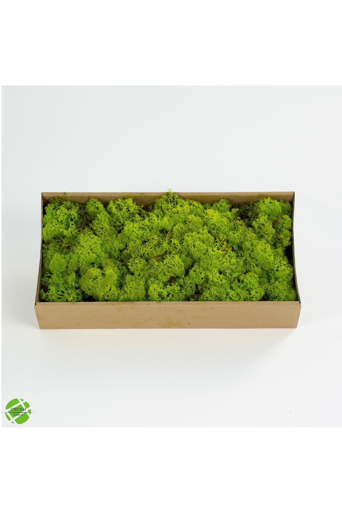 Reindeer Moss Lime Green-forest Green Set of 2 Freezing Imported Norwegian Moss