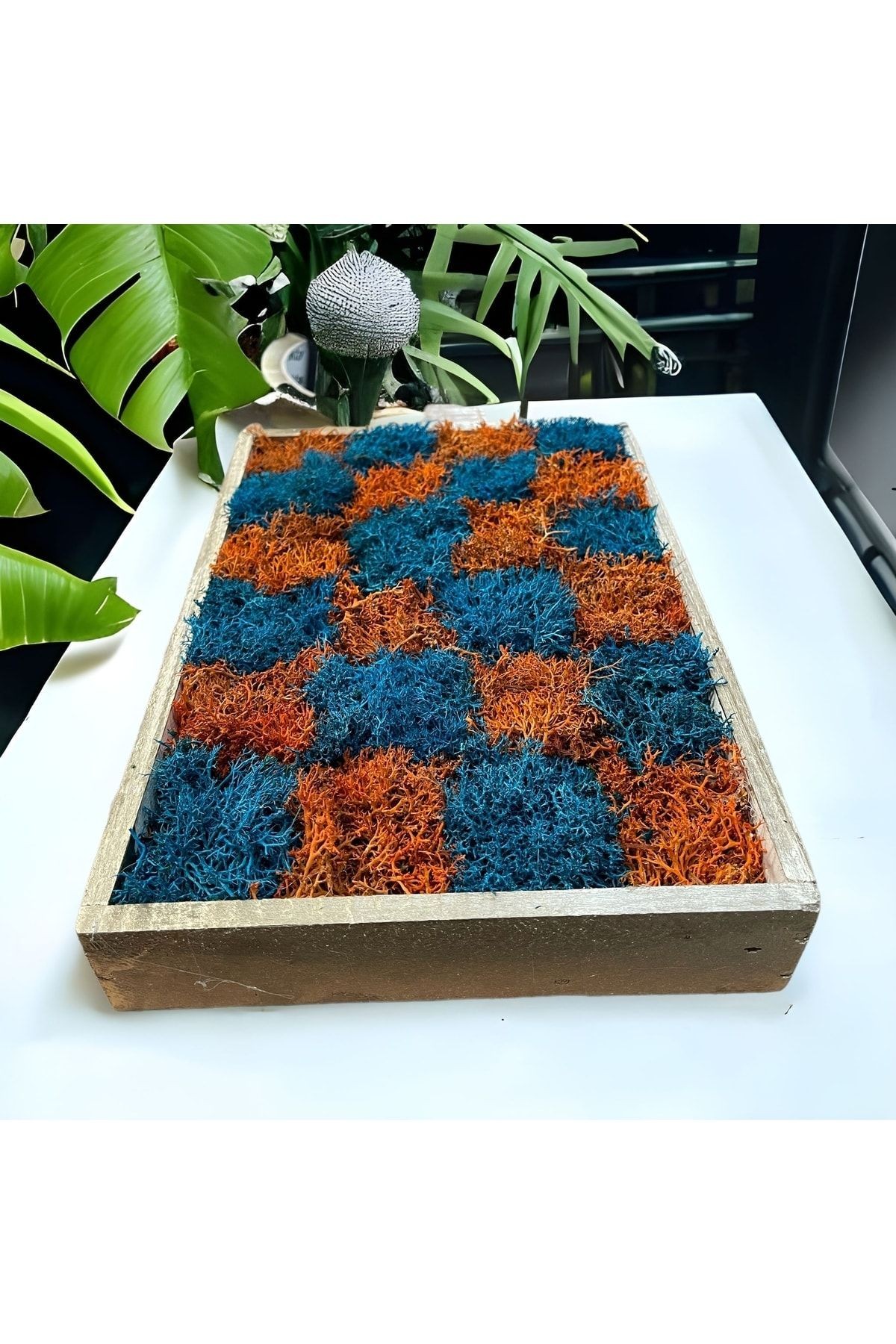 Doğal Tablo Şoklanmış Norveç Yosun Damalı Turuncu Mavi Hediyelik Duvar Kapı Masa Süsü 20x30cm