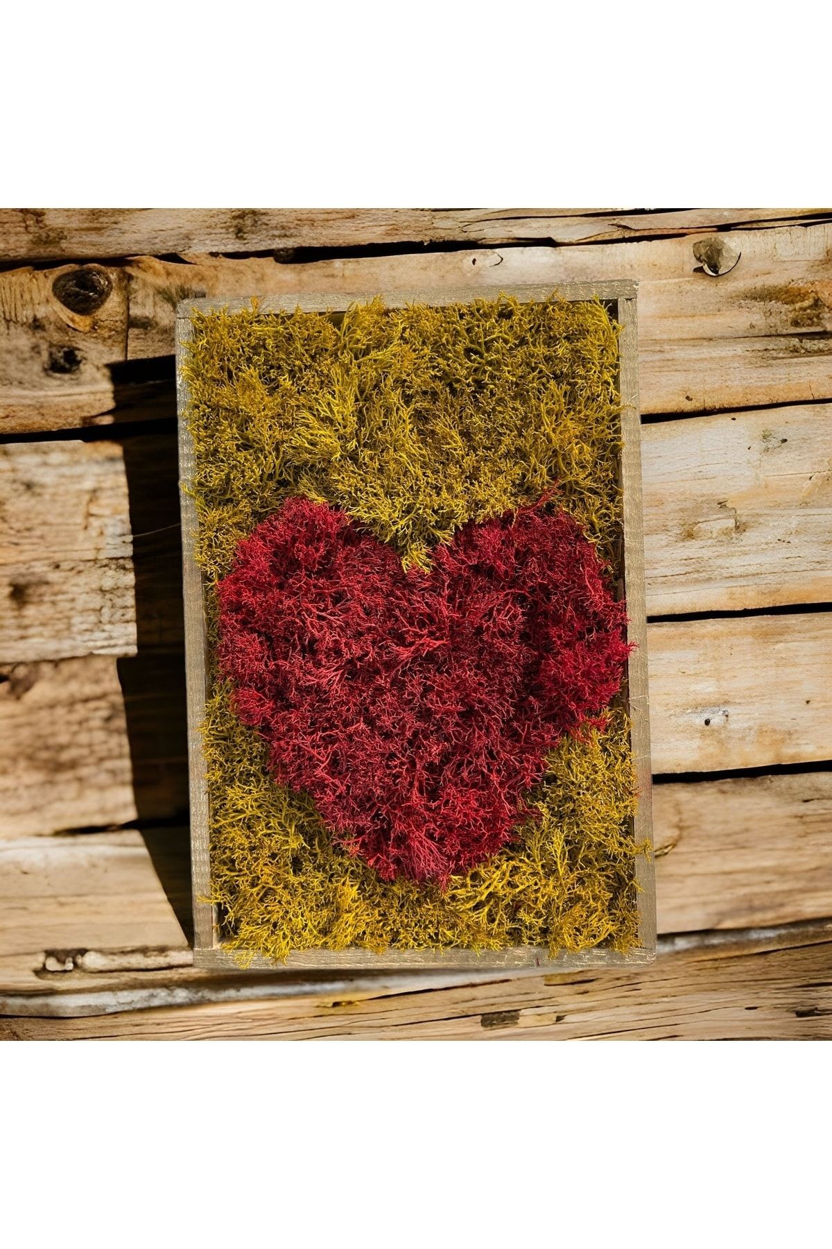 Natürliches, mattiertes Norwegen-Moos, Tisch-Herz, Liebe, Liebe, Rot, Valentinstag, Geschenk, Tür, Wand, Tischdekoration