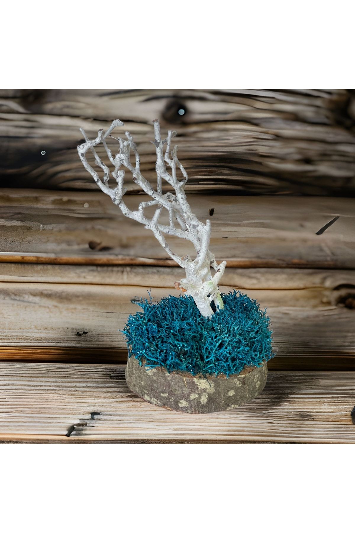 Miniature Natural Freezing Gift Wish Tree Natural Norwegian Moss Oak Tree