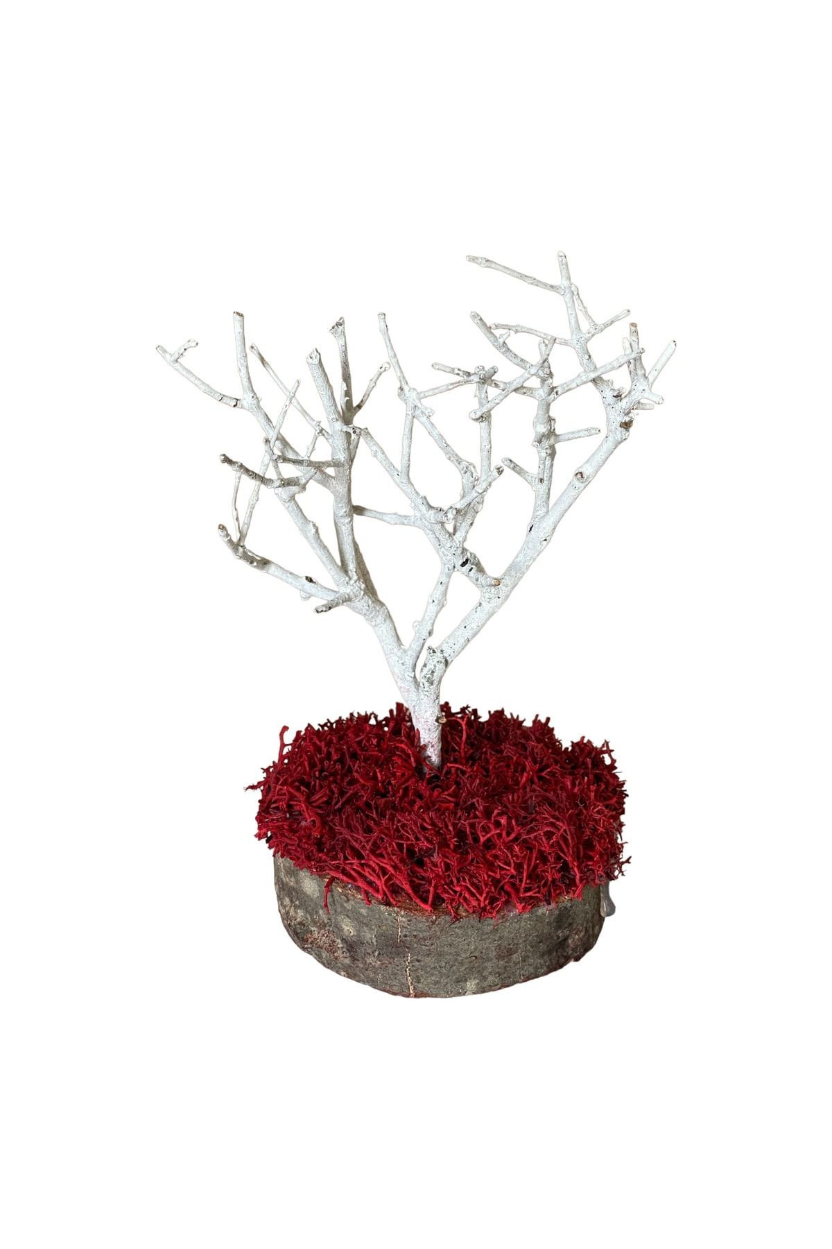 Miniature Natural Freezing Gift Wish Tree Natural Norwegian Moss Oak Tree