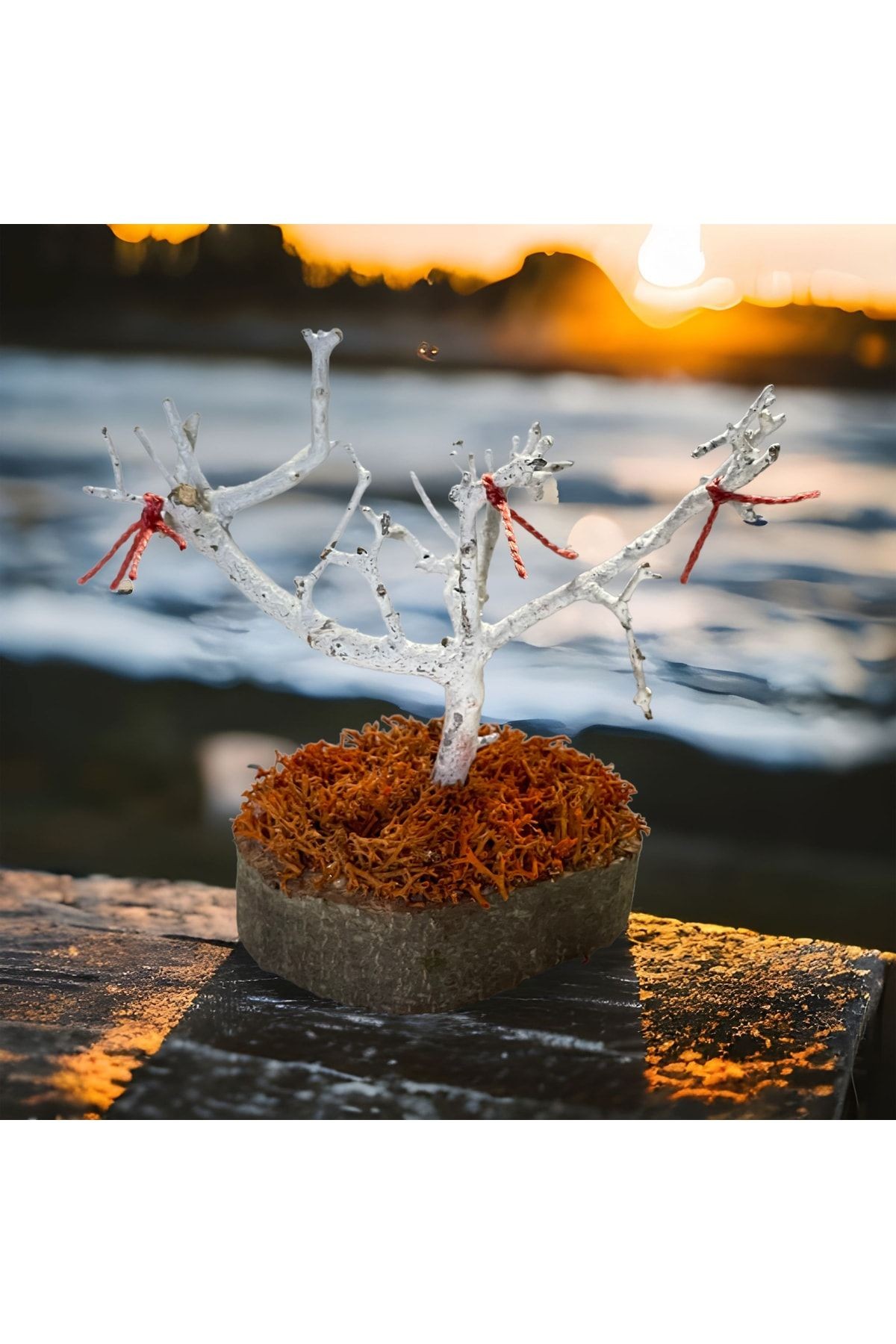 Miniatur-Naturgefrier-Geschenk-Wunschbaum, natürliche norwegische Moos-Eiche