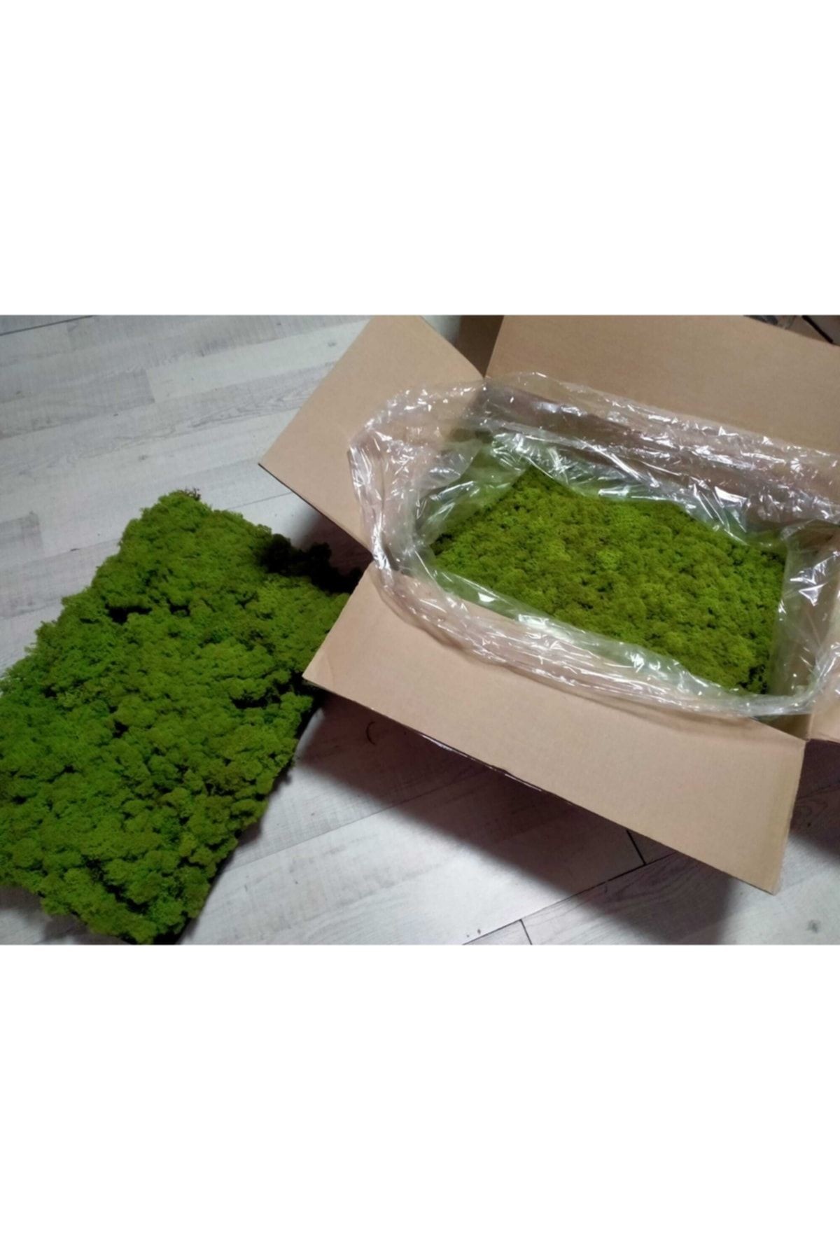 Reindeer Moss Lime Green Şoklanmış Norveç Ithal Yosunu 4 Kg