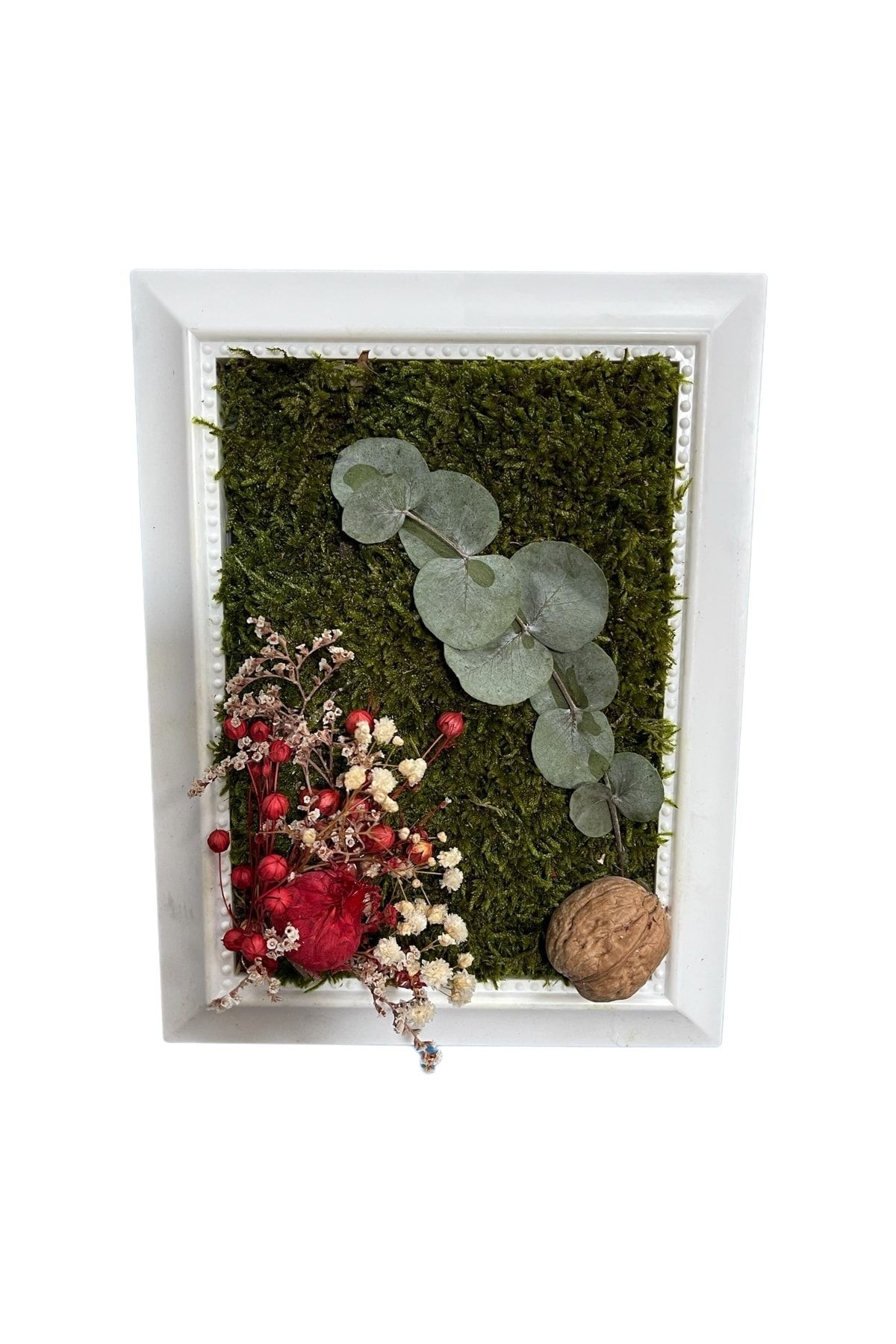 Shocked Natural Painting, Wall and Desktop Decoration, Natural Plant Flower Souvenir Ornament