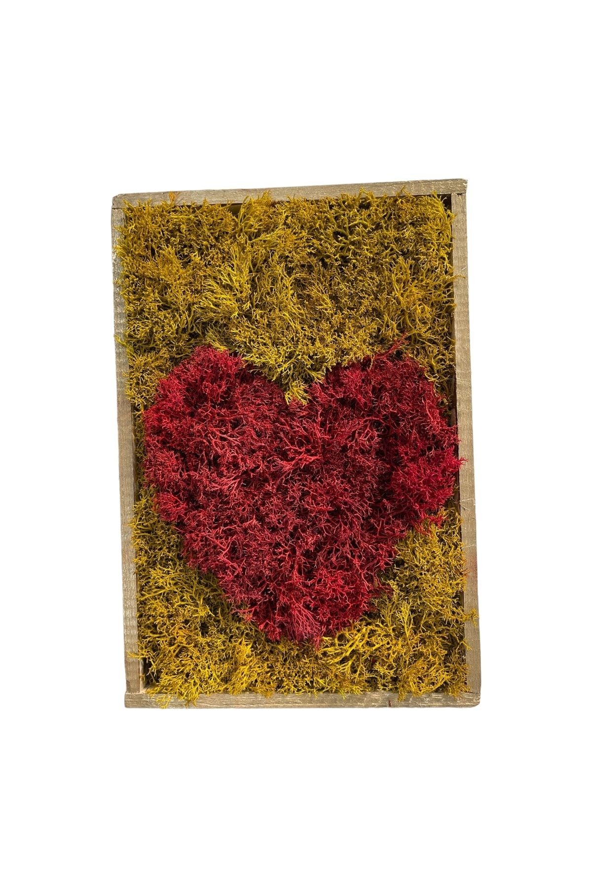 Natural Frosted Norway Moss Table Heart Love Love Red Valentine Gift Door Wall Table Decor