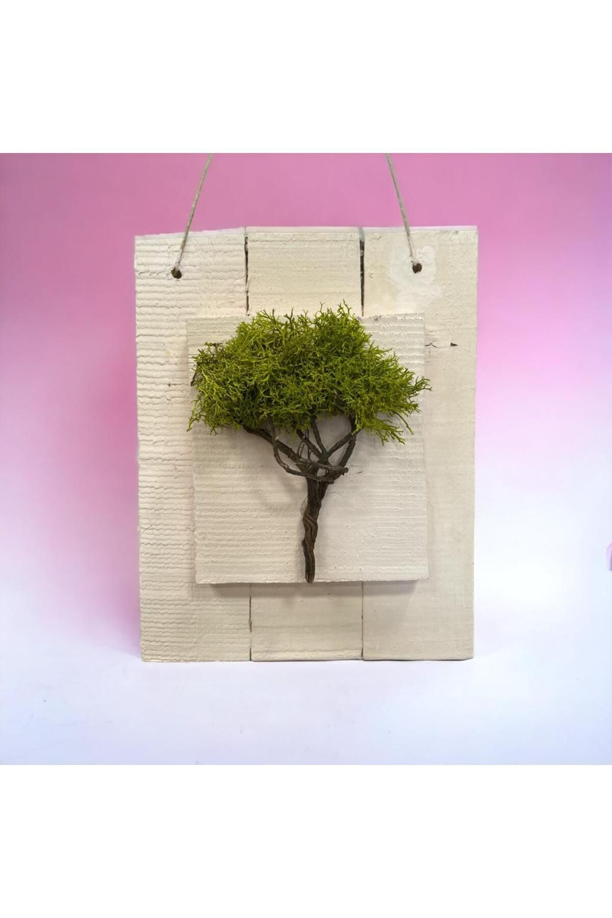 Door Ornament Wall Decoration Natural Freezing Moss Wood Painting 25x40cm(h) - Hobby Entertainment Gift New Year