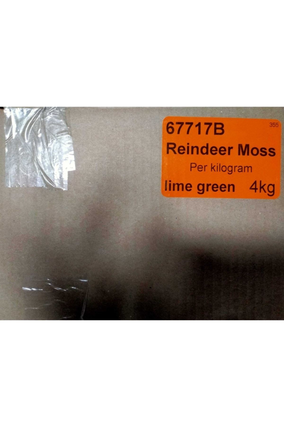 Reindeer Moss Lime Green Şoklanmış Norveç Ithal Yosunu 4 Kg