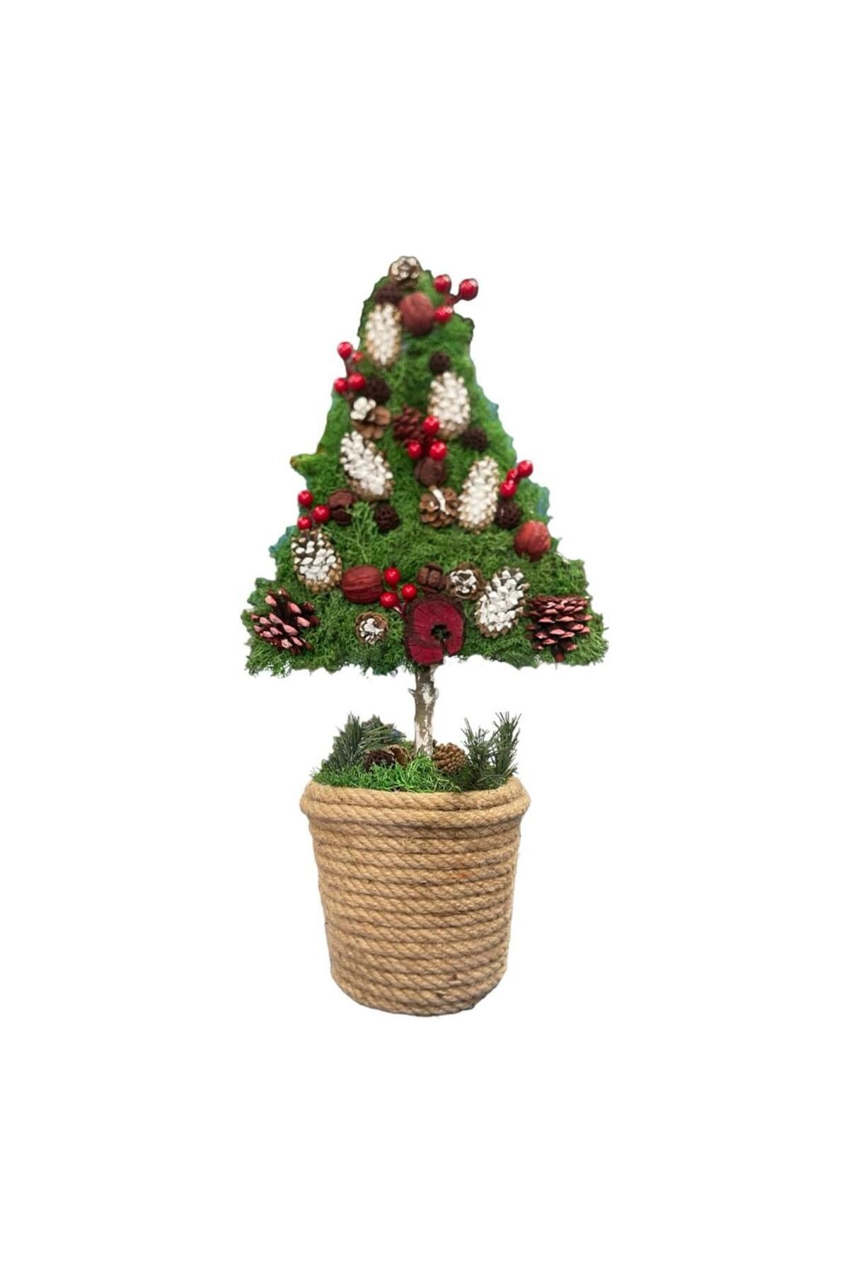 SHOCKED NATURAL CHRISTMAS TREE - WICKER POT - HOME DECO - HOME DECORATION HANDMADE