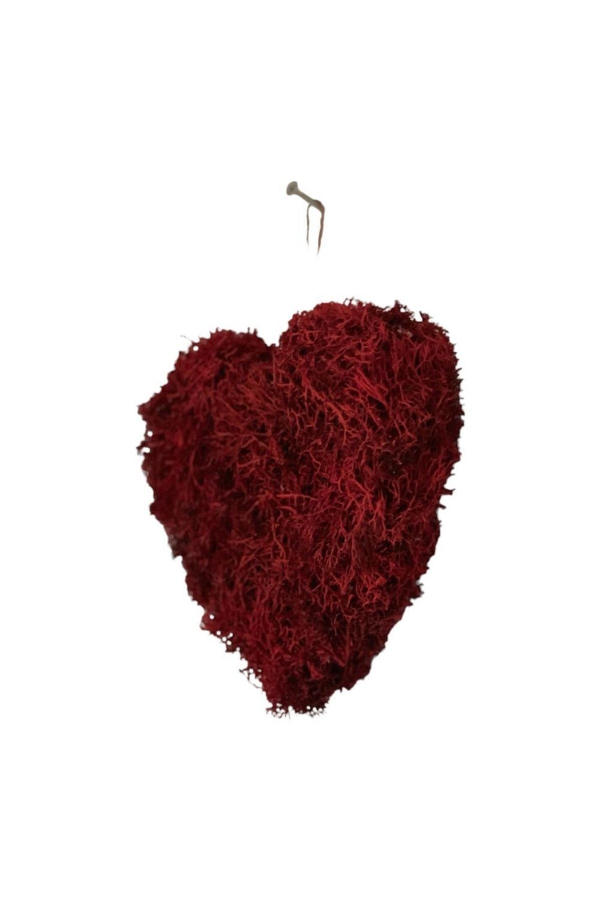 Gift 20cm Terrarium Red Heart, Natural Frosted Norway - Decorative, Love Valentines