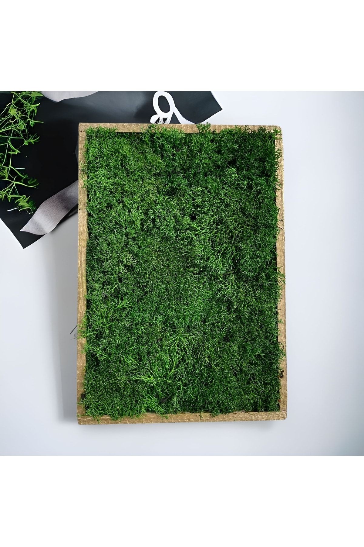 Natural Freezing Norway Moss Table Gift Wall Door Table Decoration 20x30cm