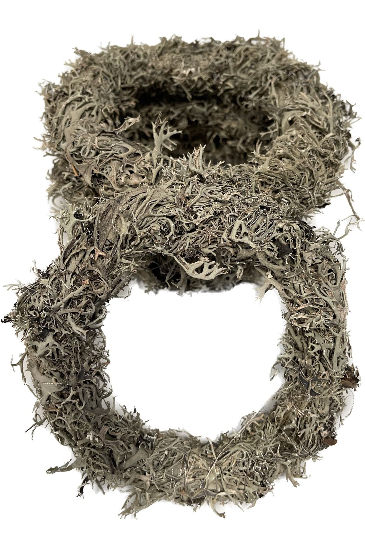 Wreath Gray Moss 13cm