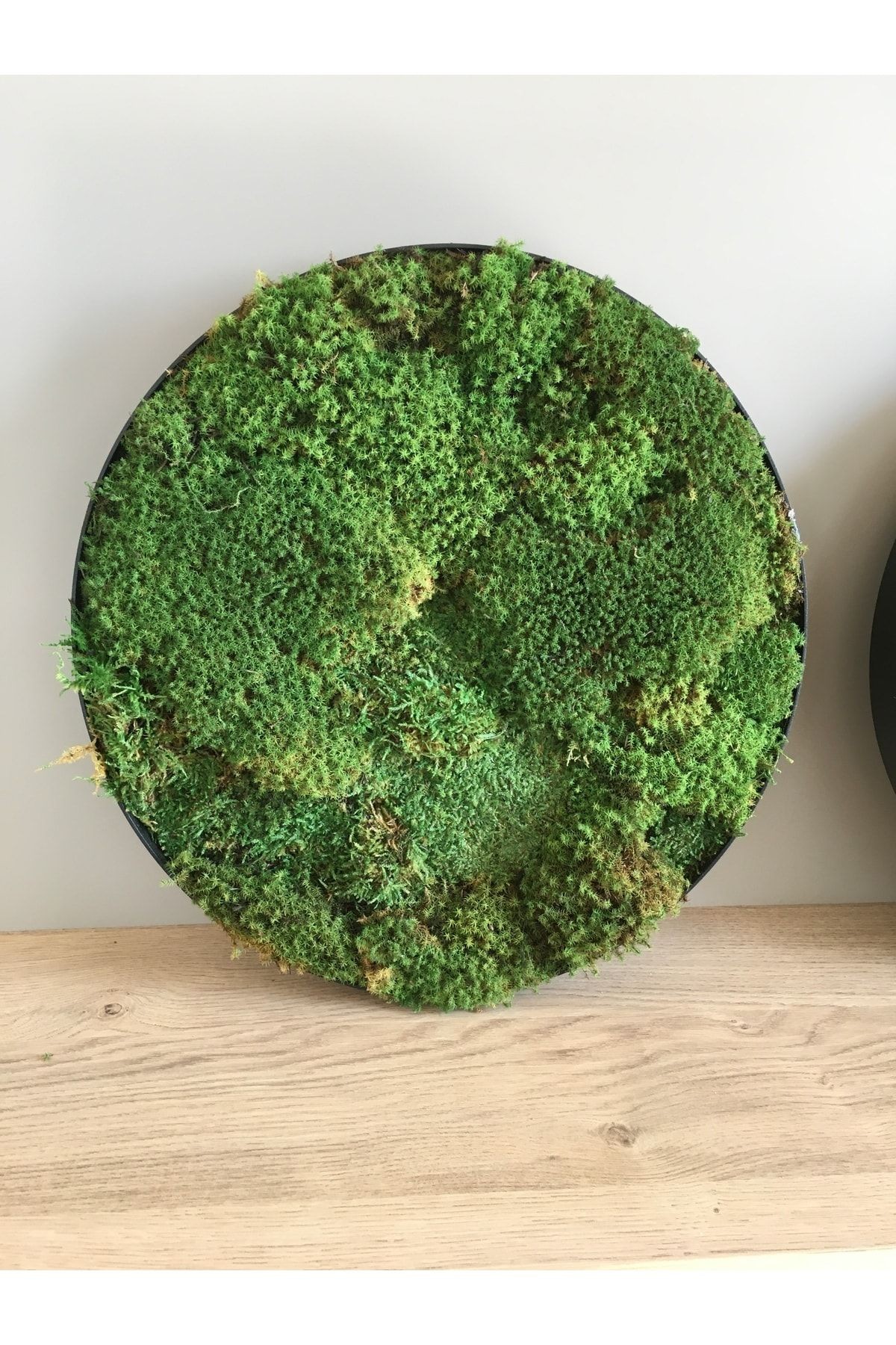 Moss Table