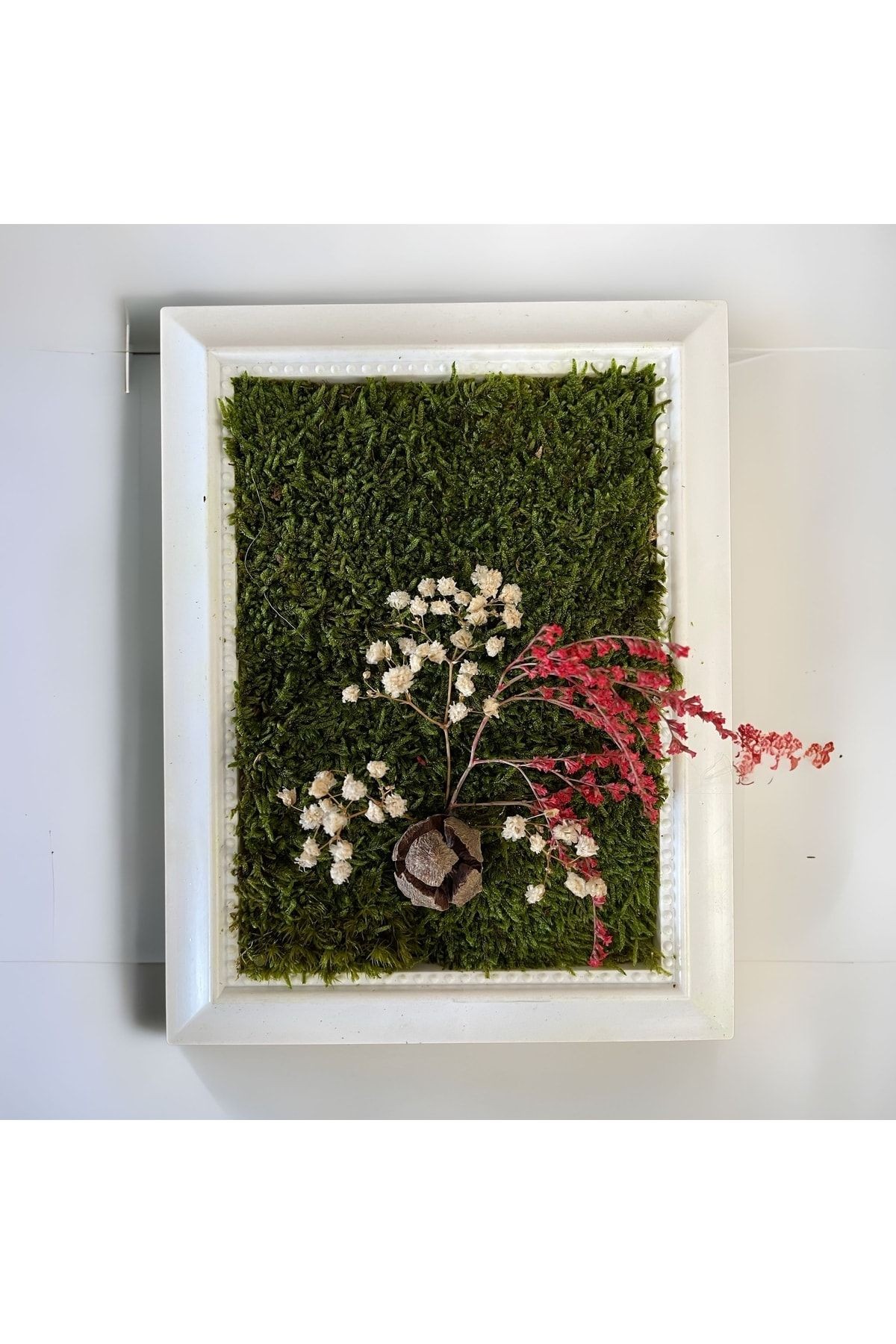 Shocked Natural Painting, Wall and Desktop Decoration, Natural Plant Flower Souvenir Ornament