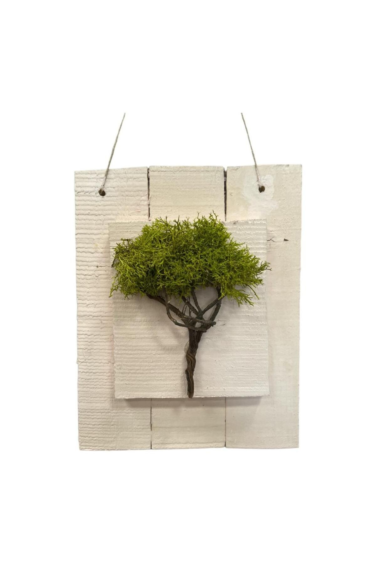 Door Ornament Wall Decoration Natural Freezing Moss Wood Painting 25x40cm(h) - Hobby Entertainment Gift New Year