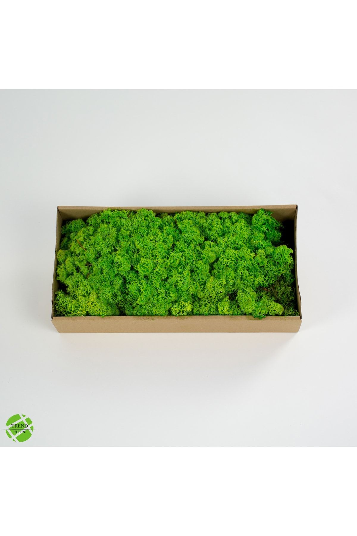 Reindeer Moss Spring Green-dark Green Set of 2 Freezing Imported Norwegian Moss