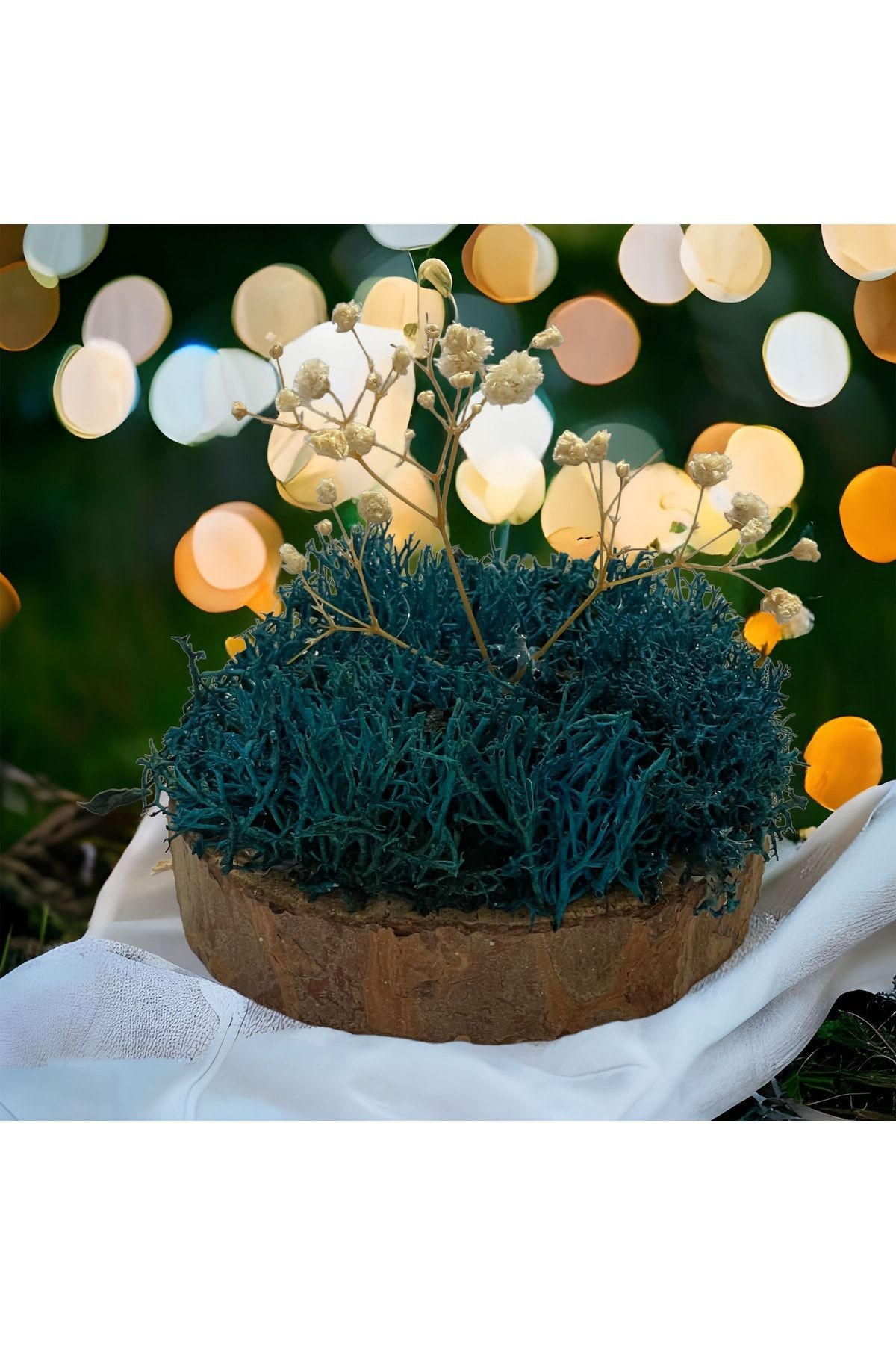 Miniature Natural Freezing Gift Wish Tree Natural Norwegian Moss Oak Tree