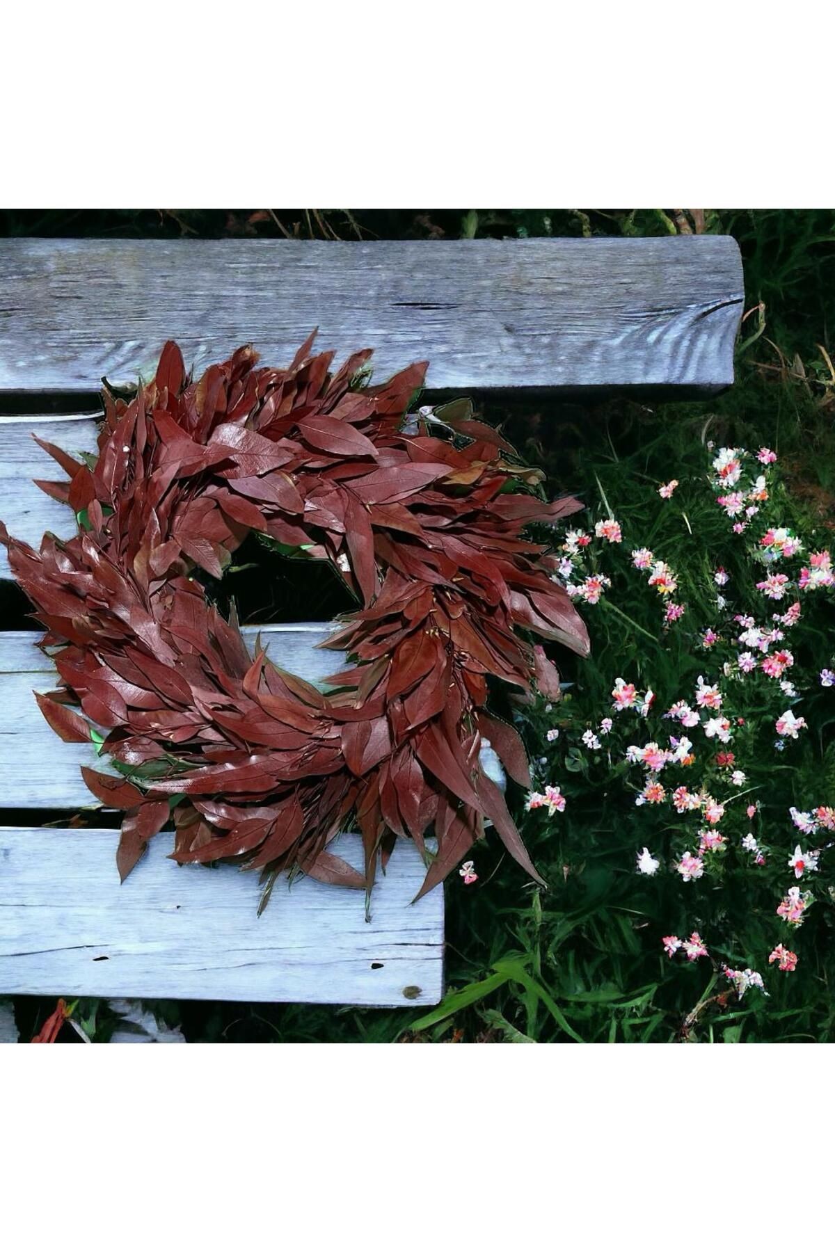 KAPI SÜSÜ ŞOKLANMIŞ PRESERVED OKALPİTUS EUCALYPTUS ÇELENK WREATH DUVAR DEKORASYON MASAÜSTÜ YILBAŞI