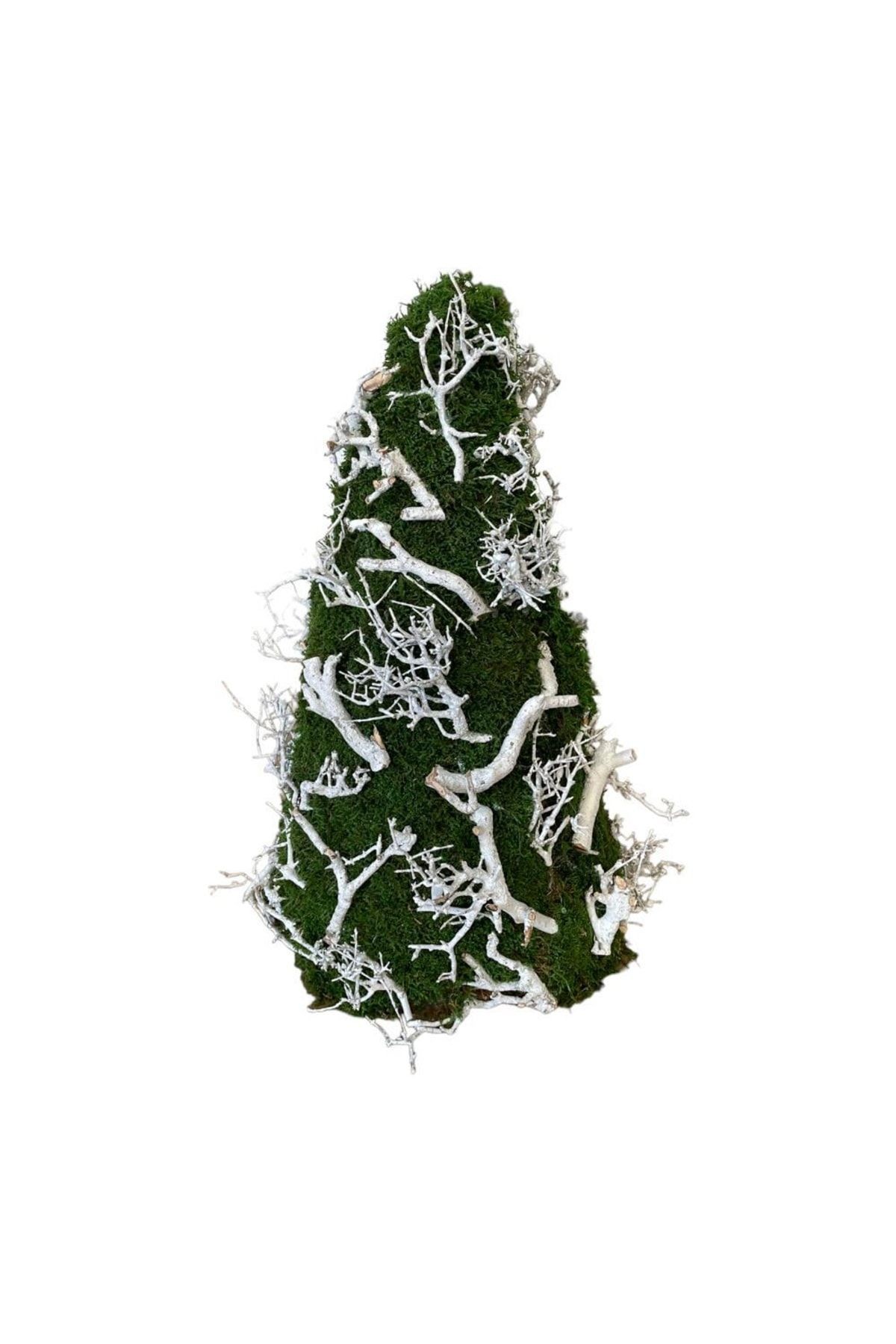 Christmas Tree Natural Natural Moss 60cm - Shocked Preserved Moss - Decorative Item