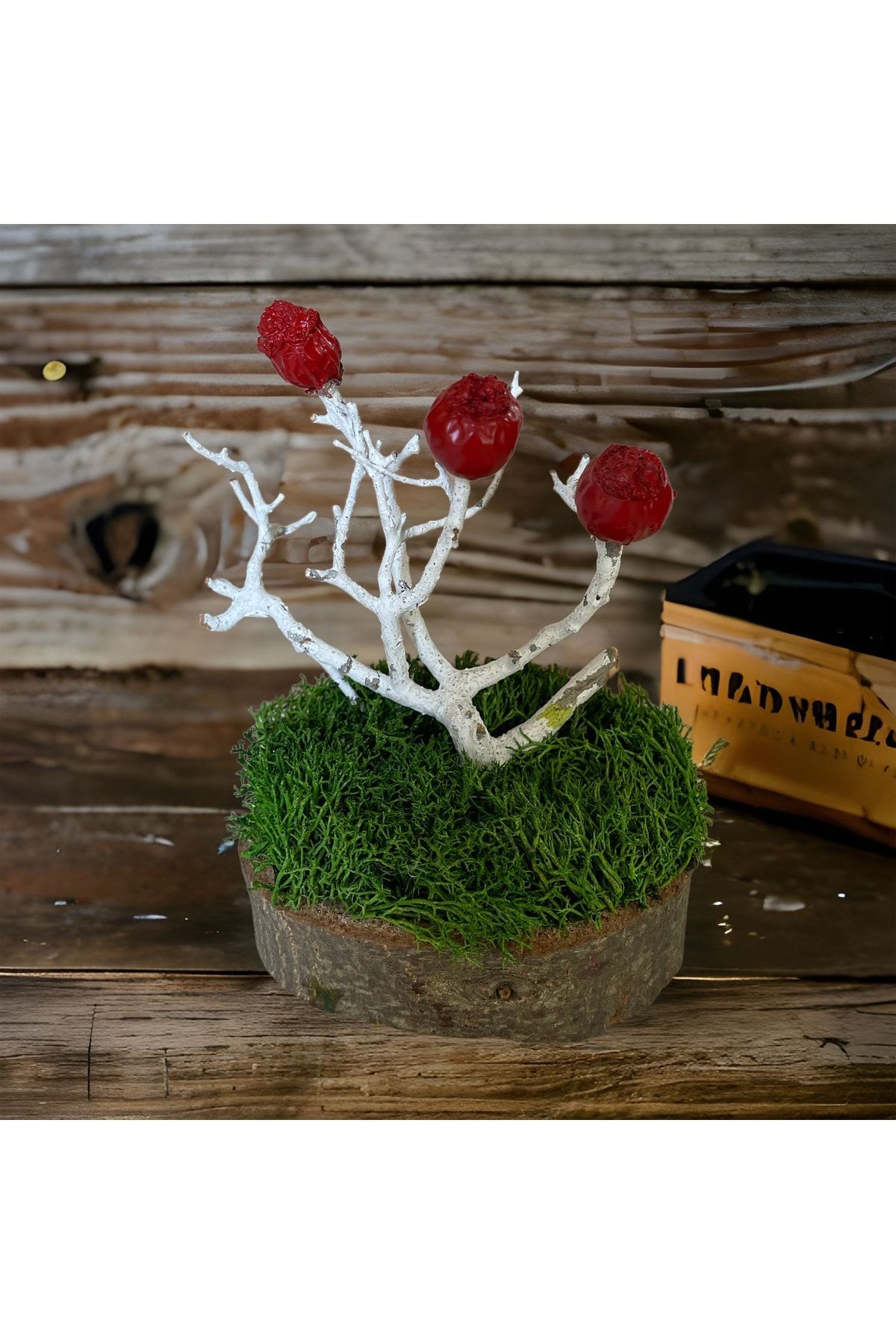 Miniature Natural Freezing Gift Wish Tree Natural Norwegian Moss Oak Tree