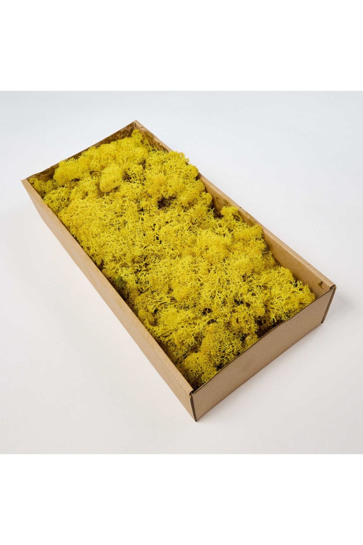 Reindeer Moss Yellow Freezed Imported Norwegian Moss