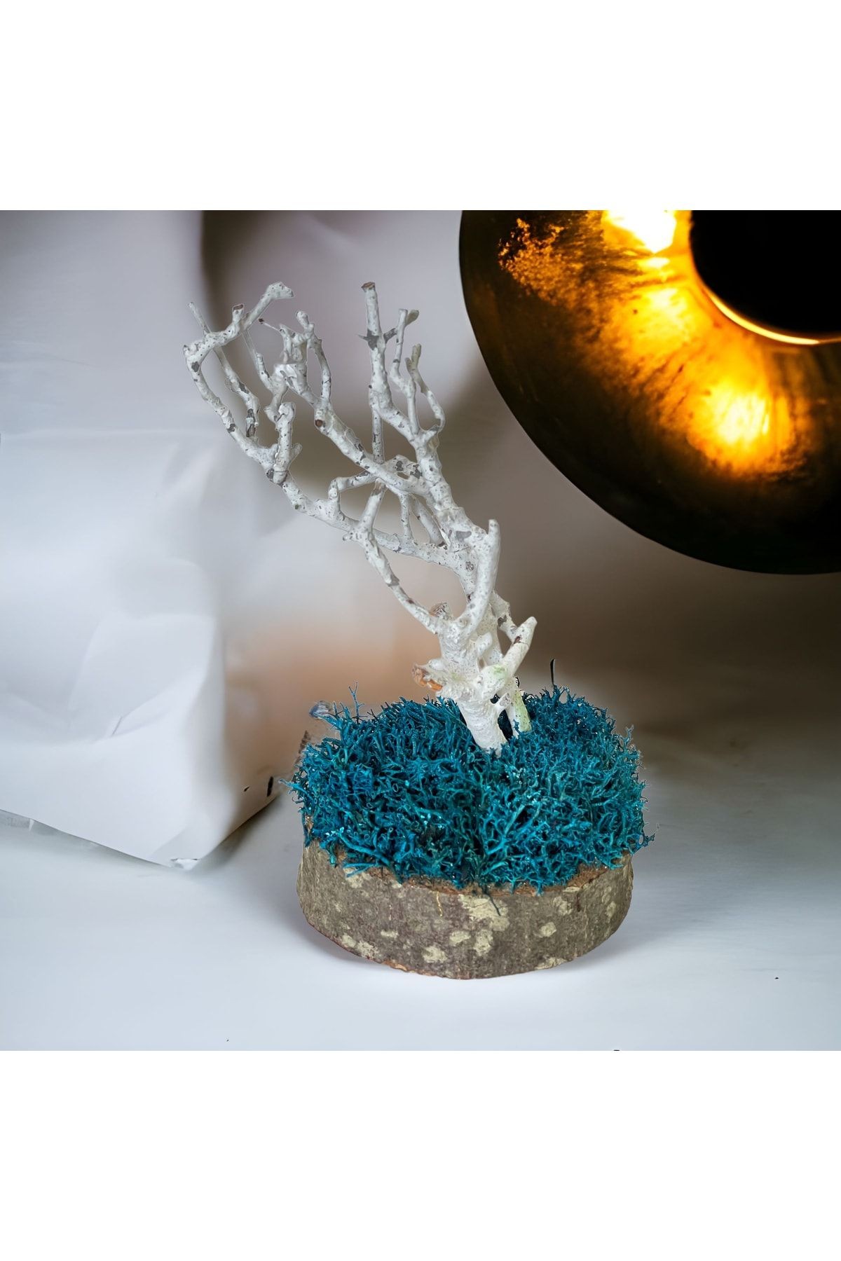 Miniature Natural Freezing Gift Wish Tree Natural Norwegian Moss Oak Tree