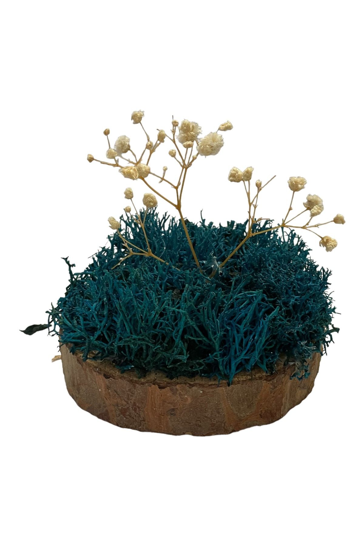 Miniature Natural Freezing Gift Wish Tree Natural Norwegian Moss Oak Tree