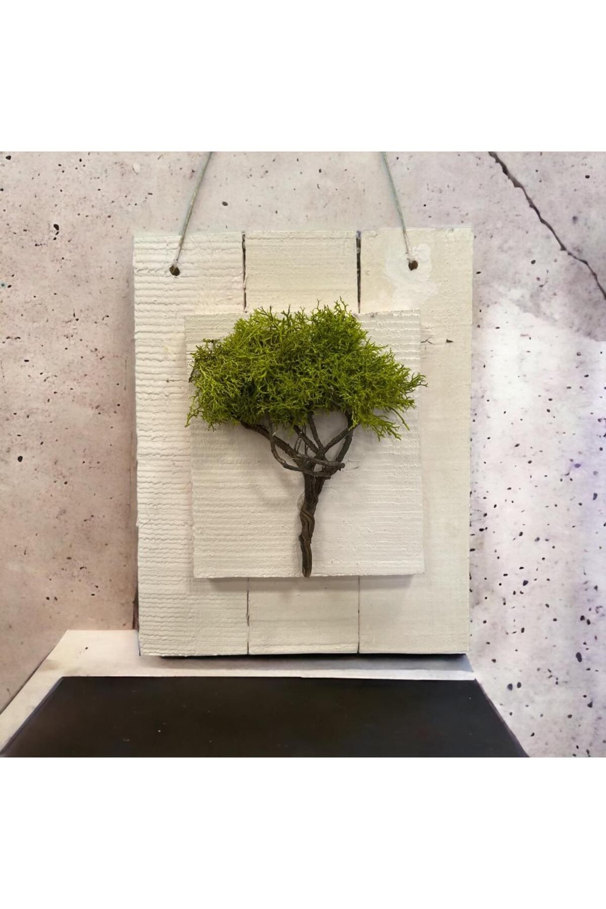 Door Ornament Wall Decoration Natural Freezing Moss Wood Painting 25x40cm(h) - Hobby Entertainment Gift New Year