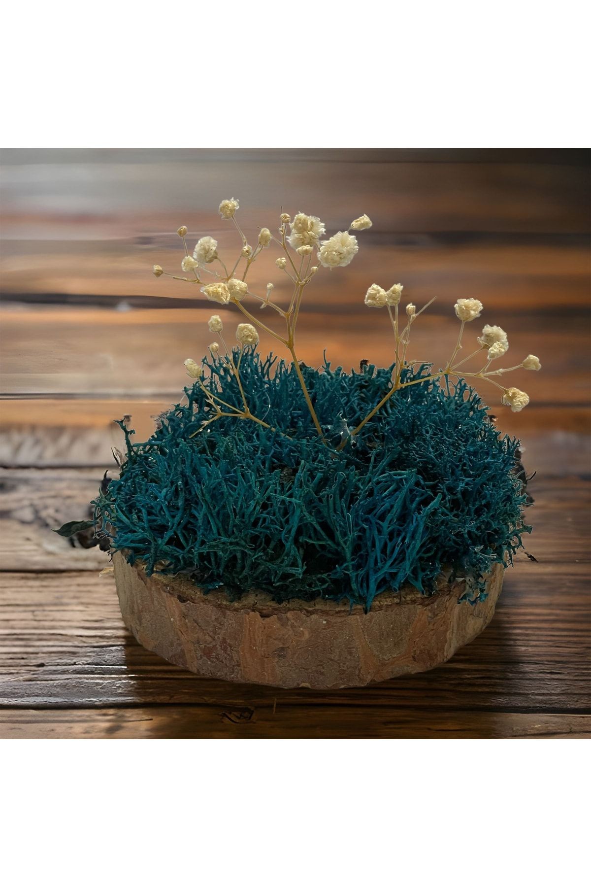 Miniature Natural Freezing Gift Wish Tree Natural Norwegian Moss Oak Tree