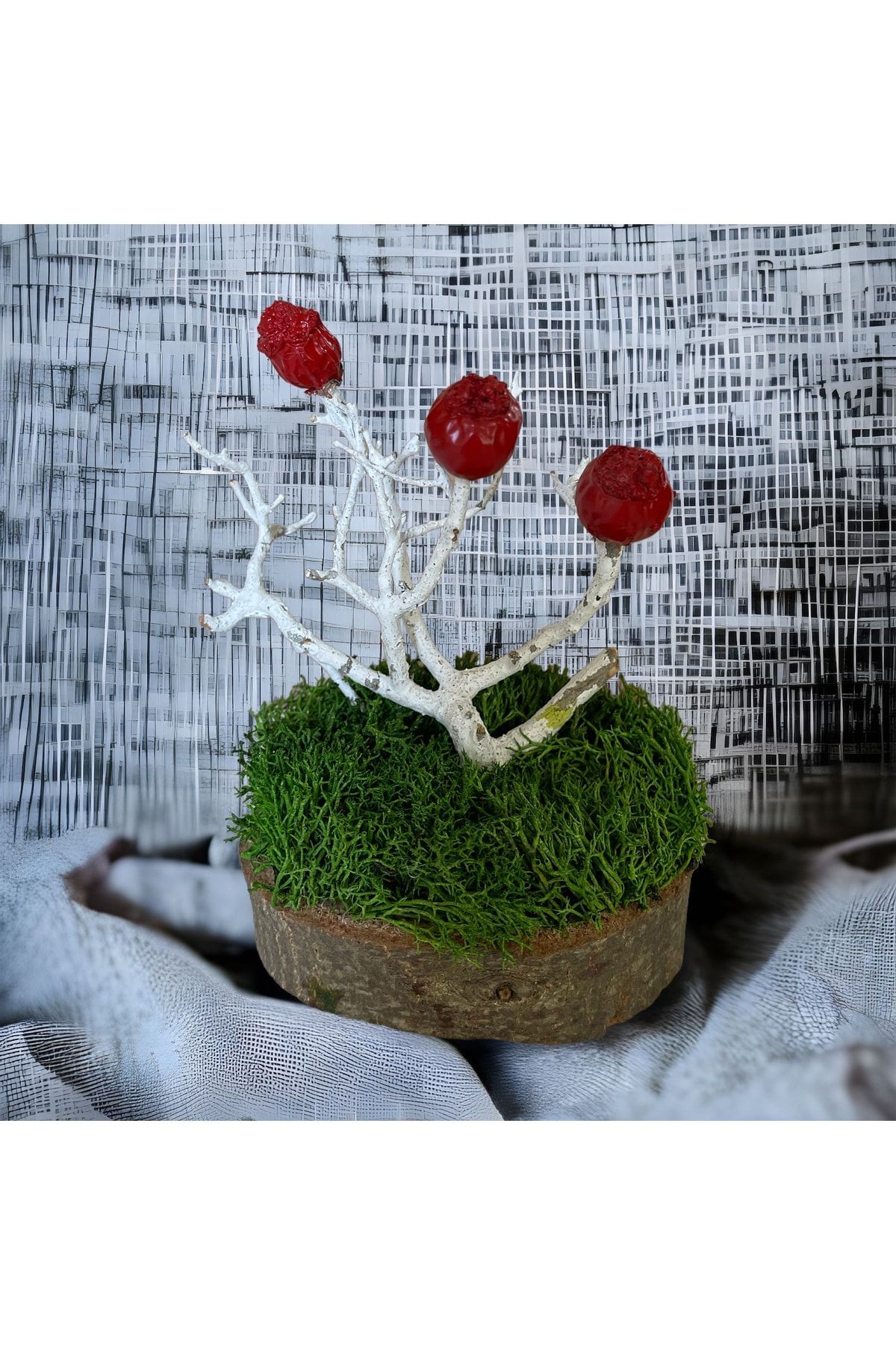 Miniature Natural Freezing Gift Wish Tree Natural Norwegian Moss Oak Tree