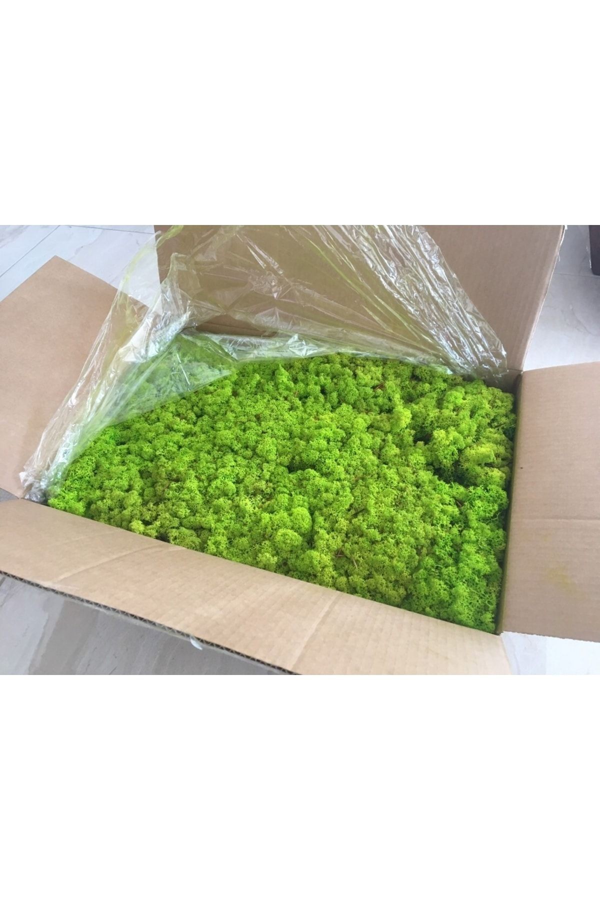 Reindeer Moss Lime Green Şoklanmış Norveç Ithal Yosunu 4 Kg