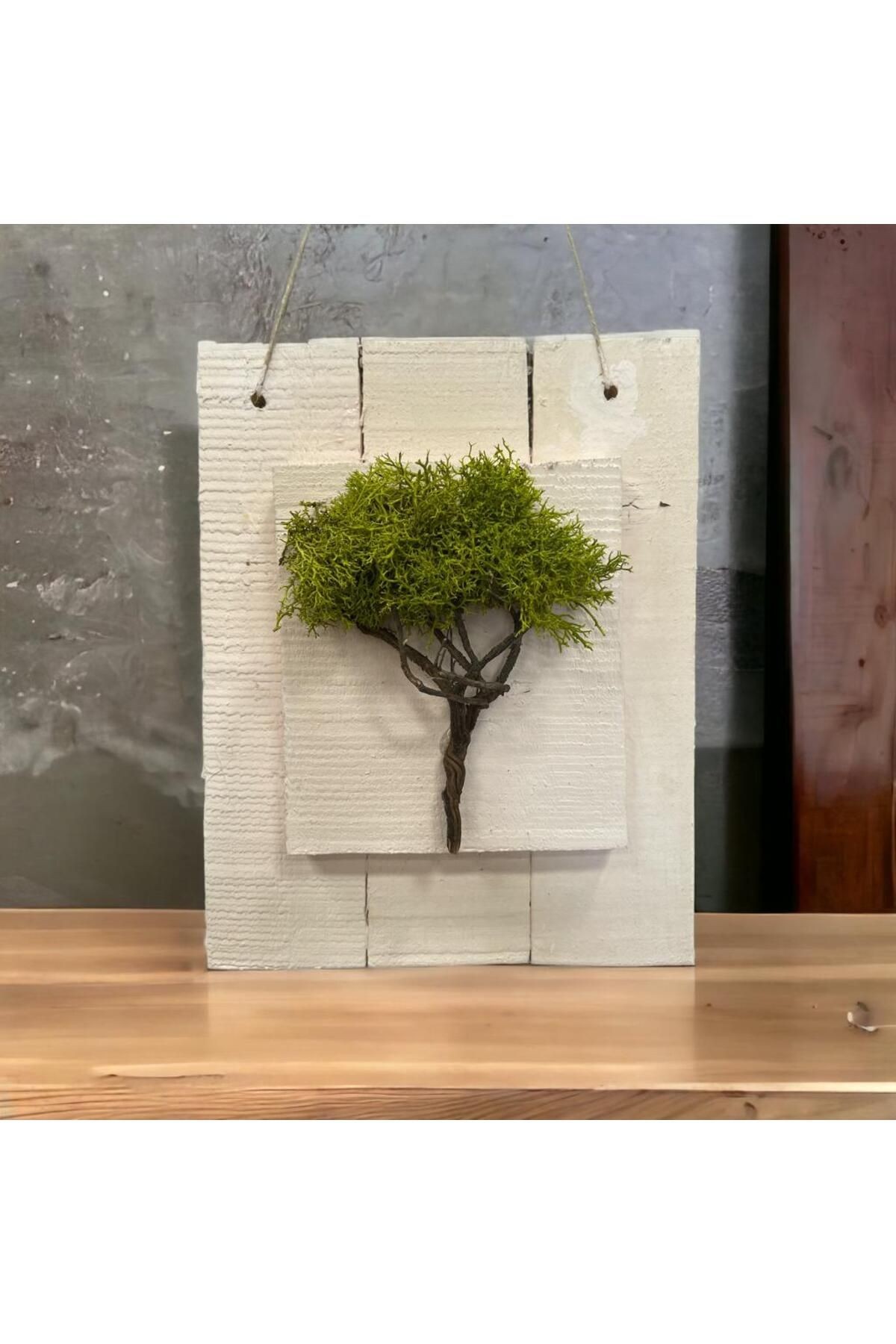 Door Ornament Wall Decoration Natural Freezing Moss Wood Painting 25x40cm(h) - Hobby Entertainment Gift New Year