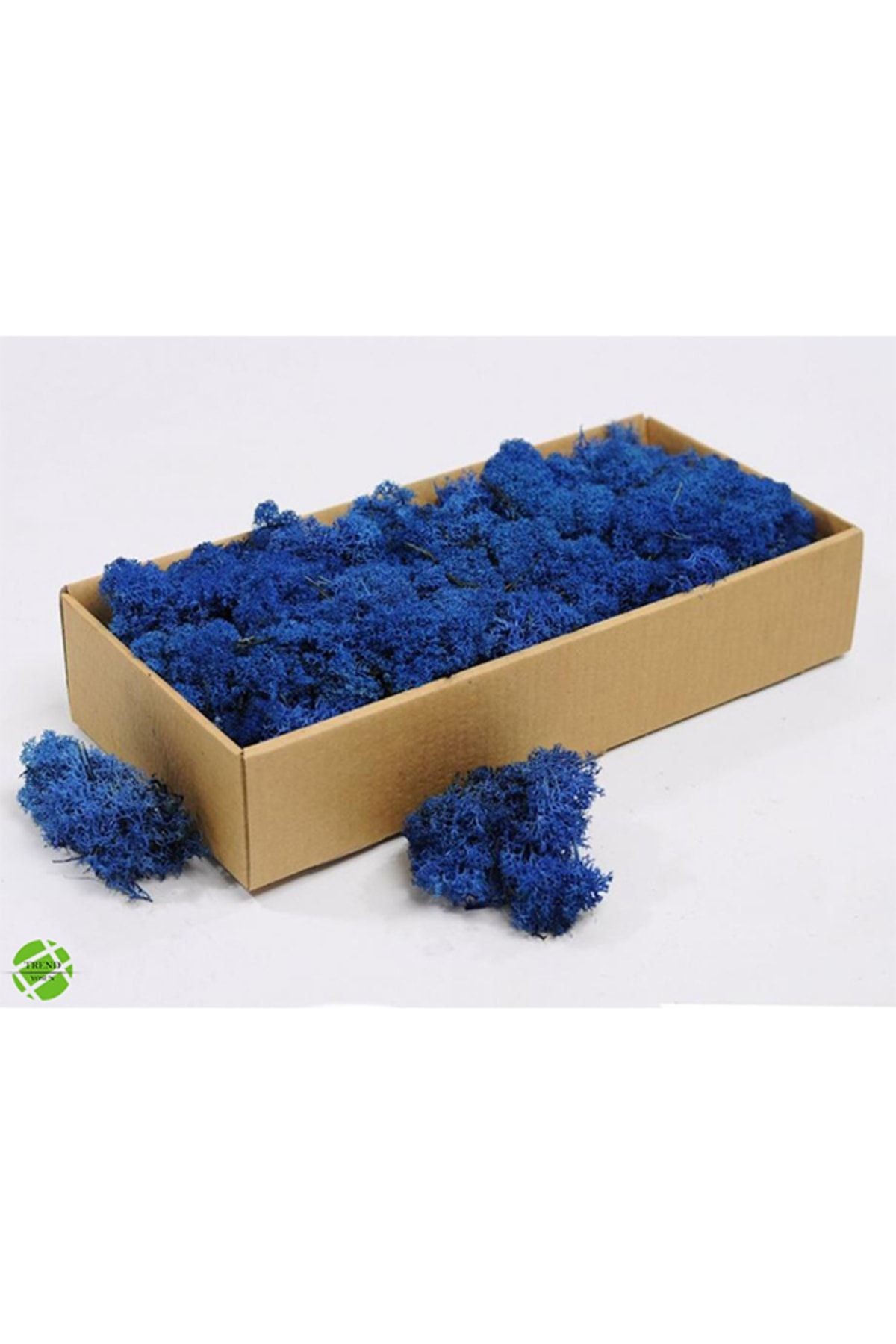 Reindeer Moss Yellow-blue Set of 2 Freezing Imported Norwegian Moss