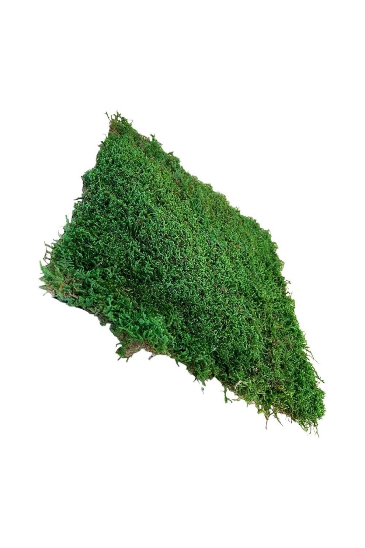 Multi-Purpose Preserved Moss Preserved, Freezing Green 40x40cm Garden, wall, flower pot, floor