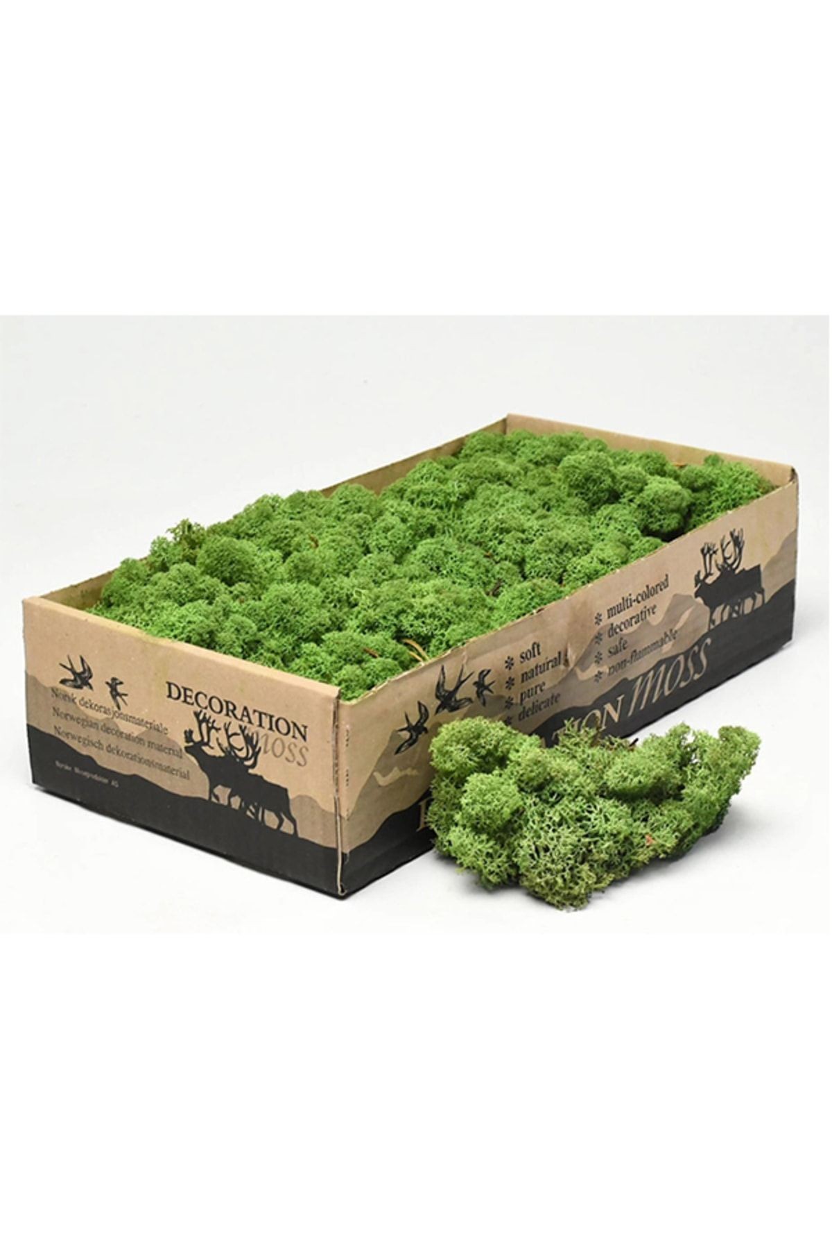 Reindeer Moss Lime-spring-forest-dark Green Set of 4 Freezing Imported Norwegian Moss