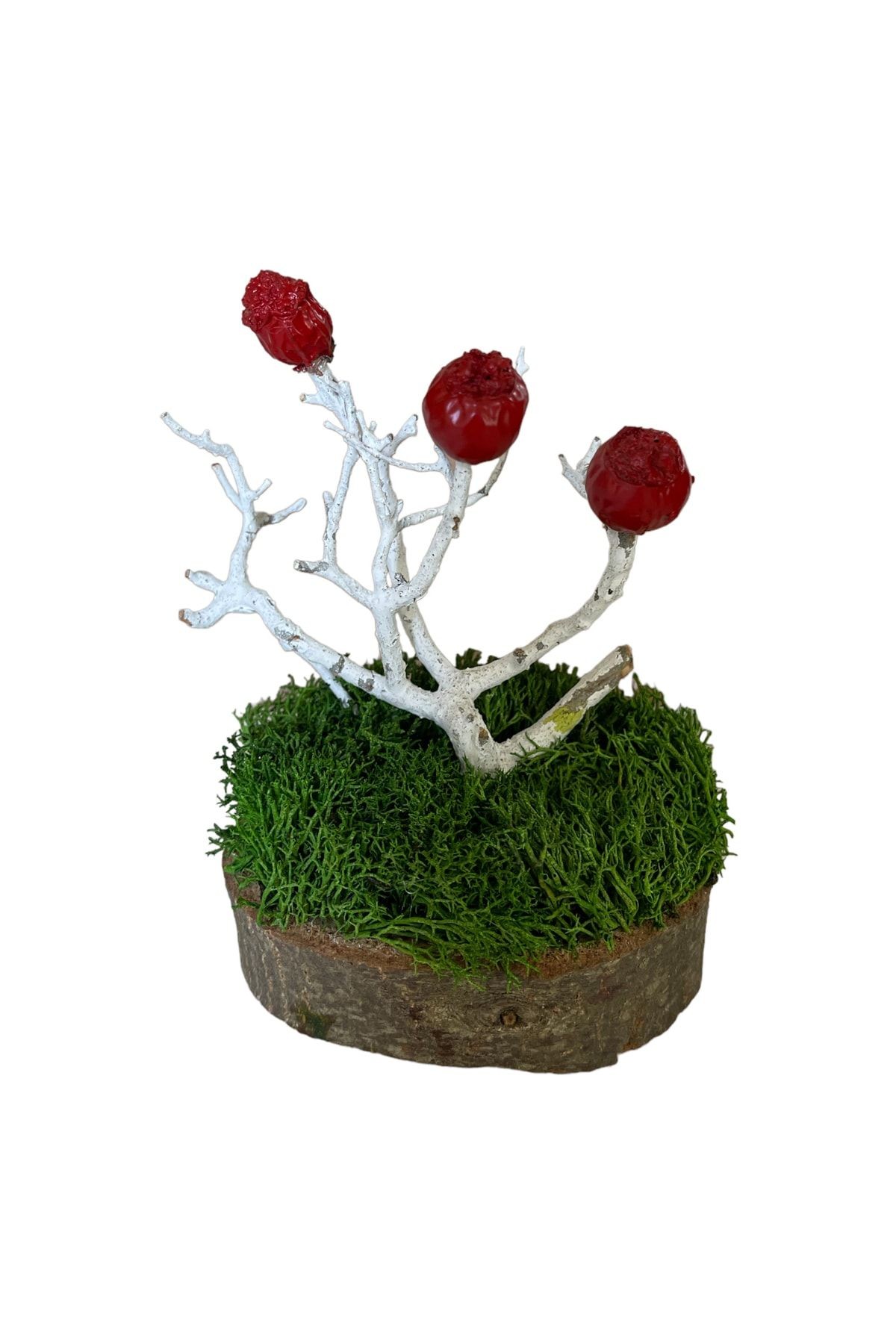 Miniature Natural Freezing Gift Wish Tree Natural Norwegian Moss Oak Tree