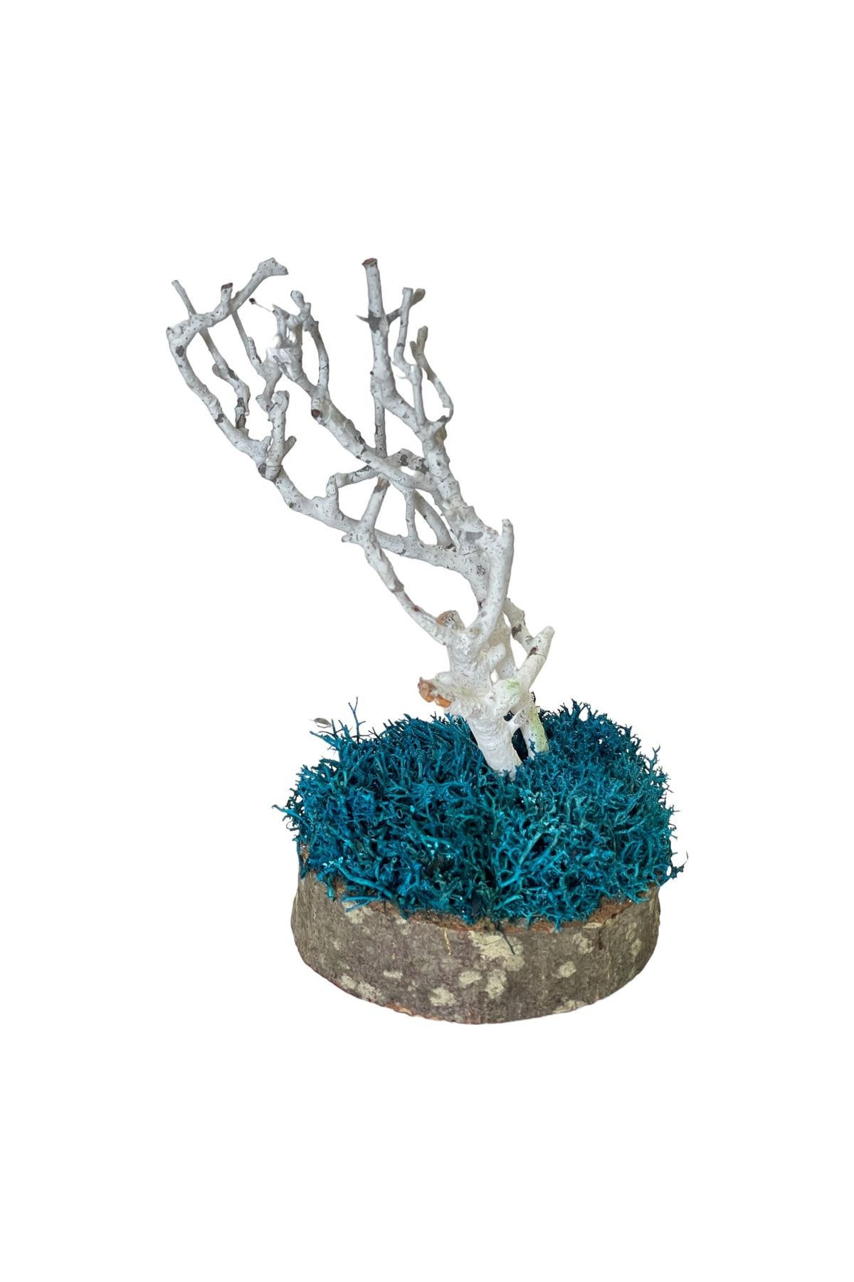 Miniature Natural Freezing Gift Wish Tree Natural Norwegian Moss Oak Tree