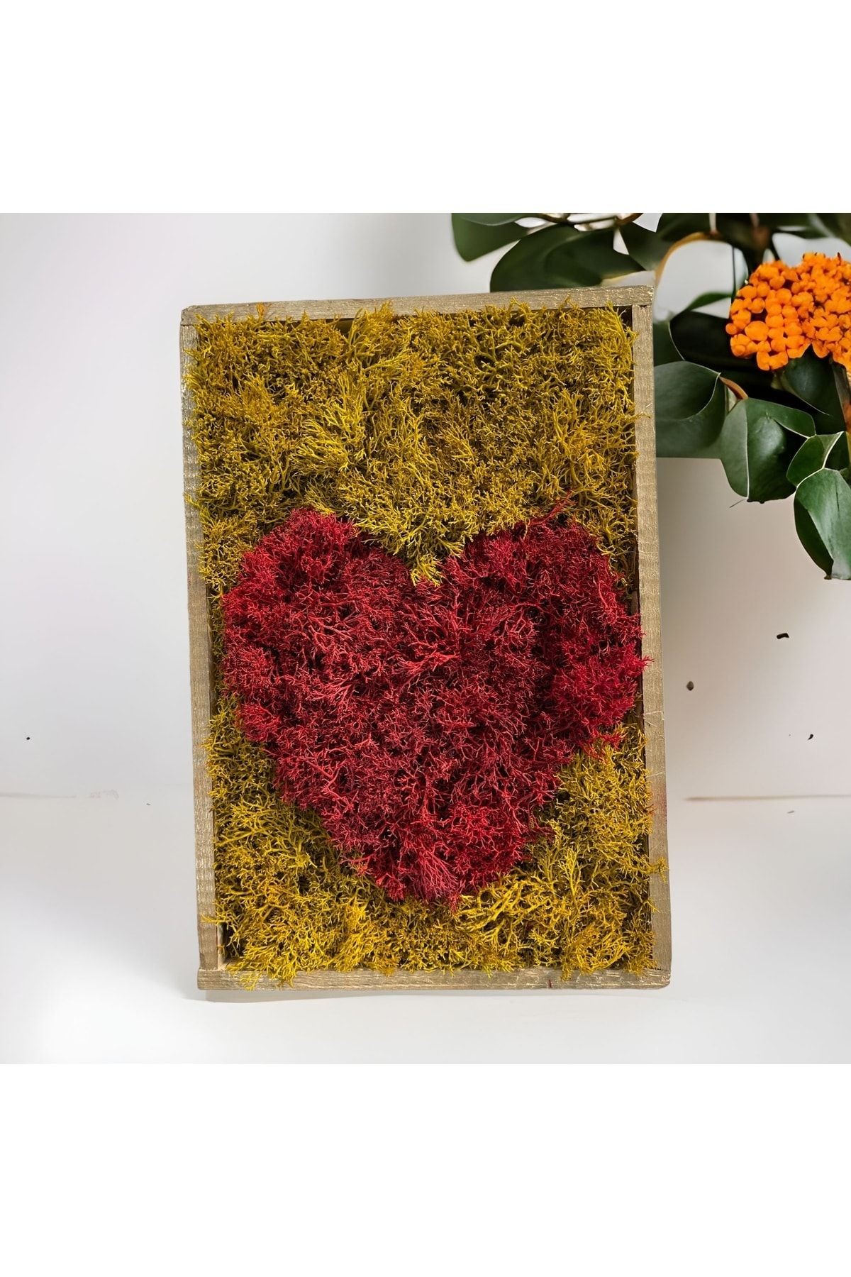 Natural Frosted Norway Moss Table Heart Love Love Red Valentine Gift Door Wall Table Decor