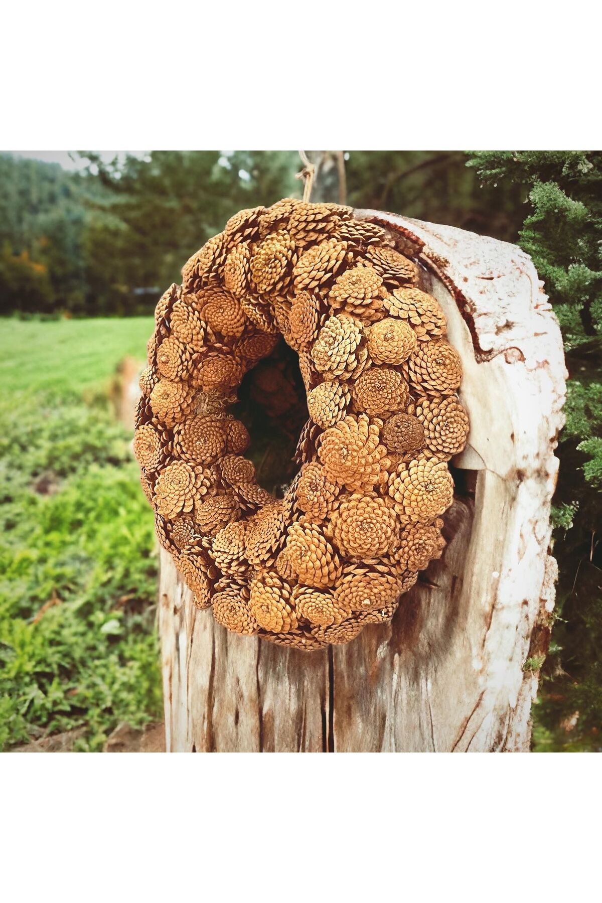 Weihnachten Neujahr 45 cm dicker Tannenzapfen Türschmuck Weihnachtsfeier handgefertigt handgefertigt